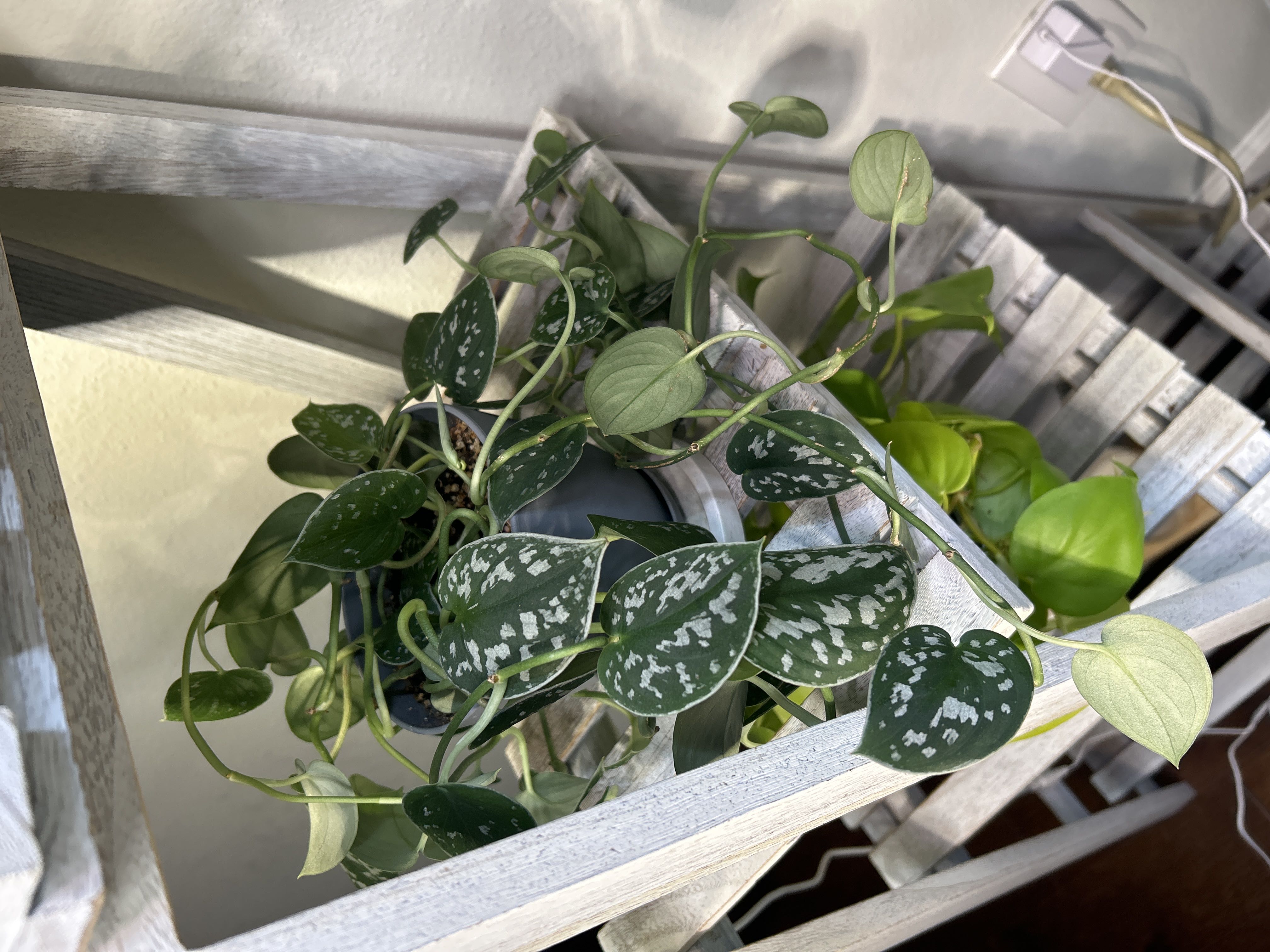 Photo from the post