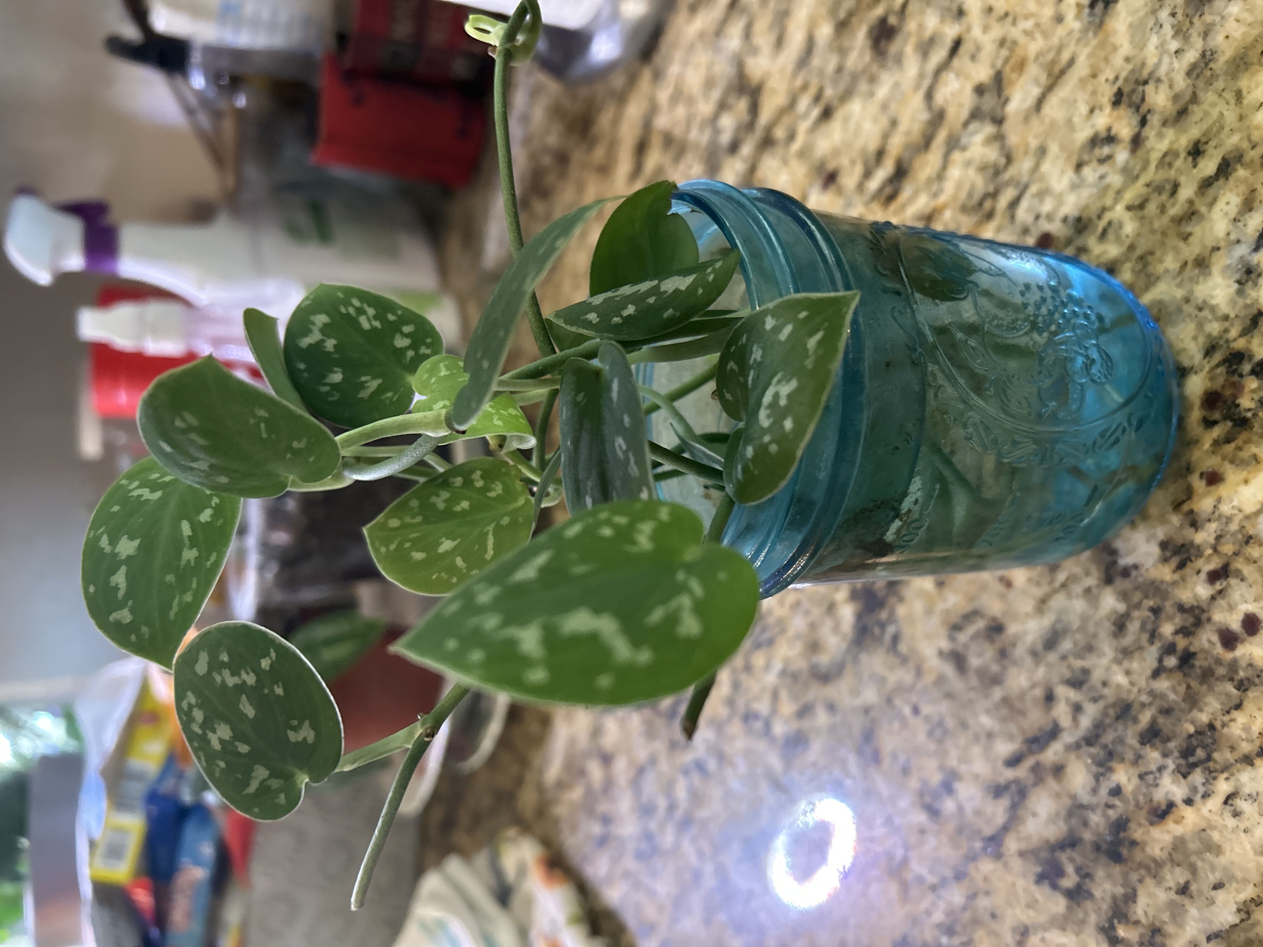 Photo from the post