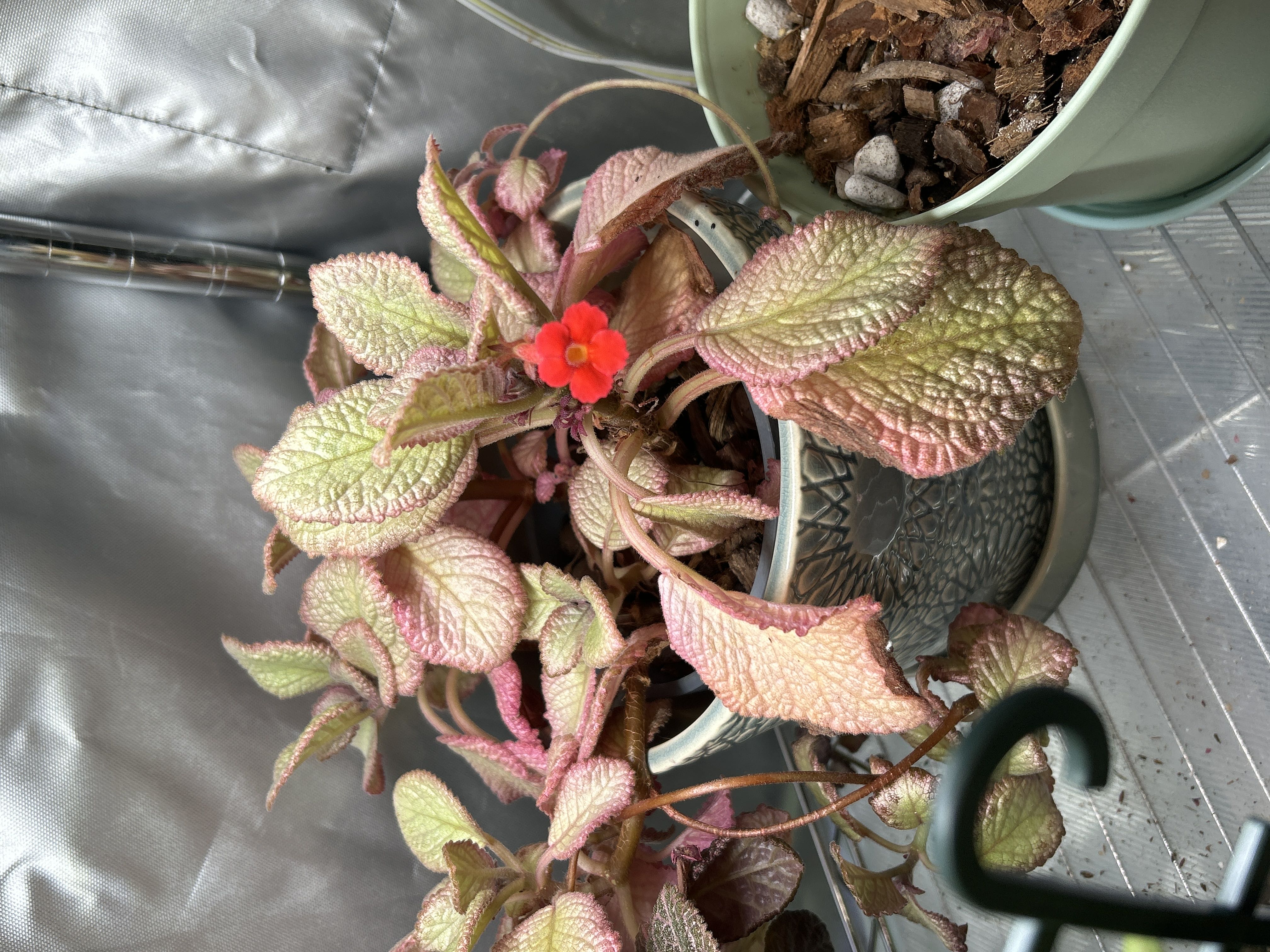 Photo from the post