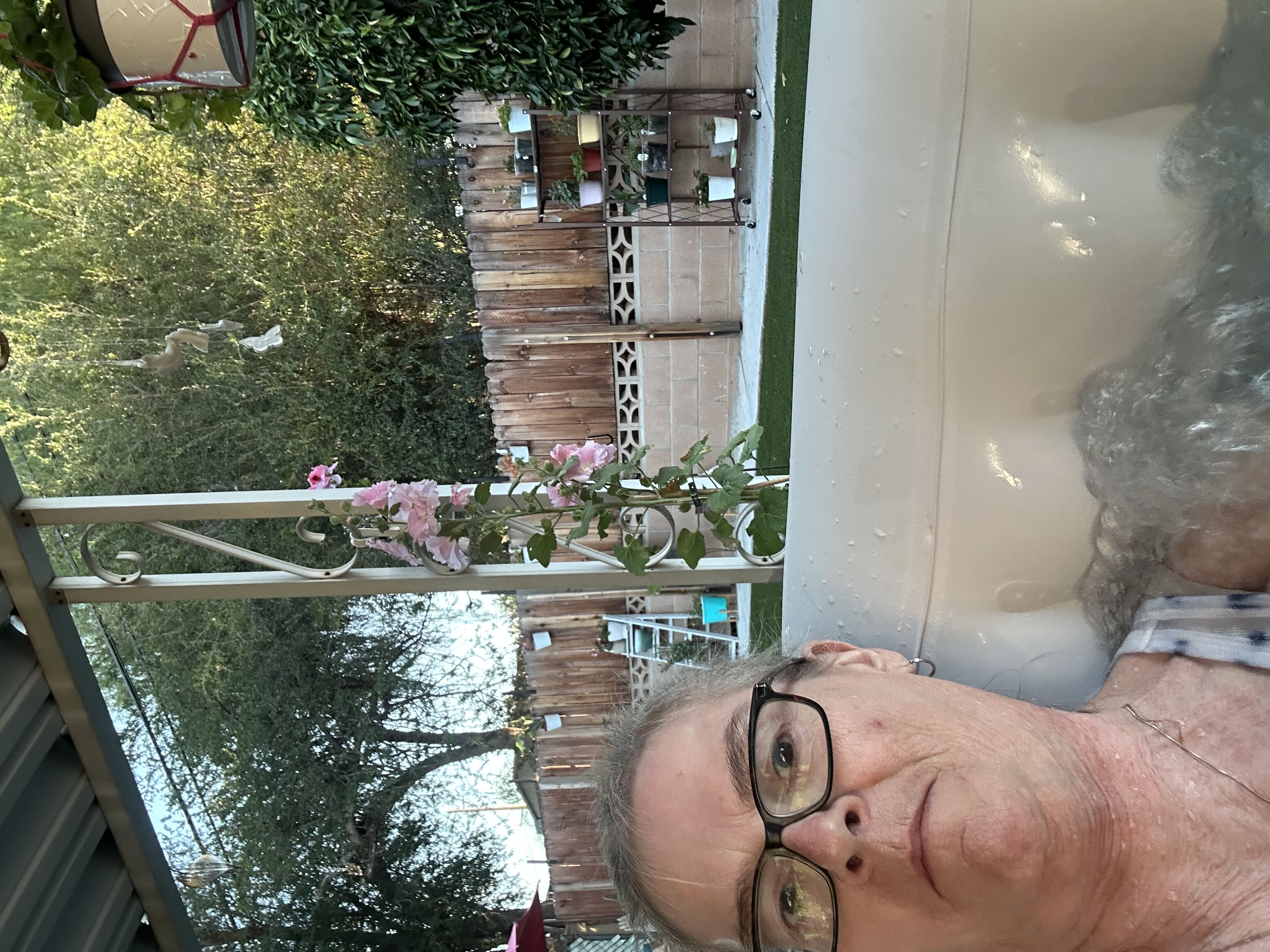 Photo from the post
