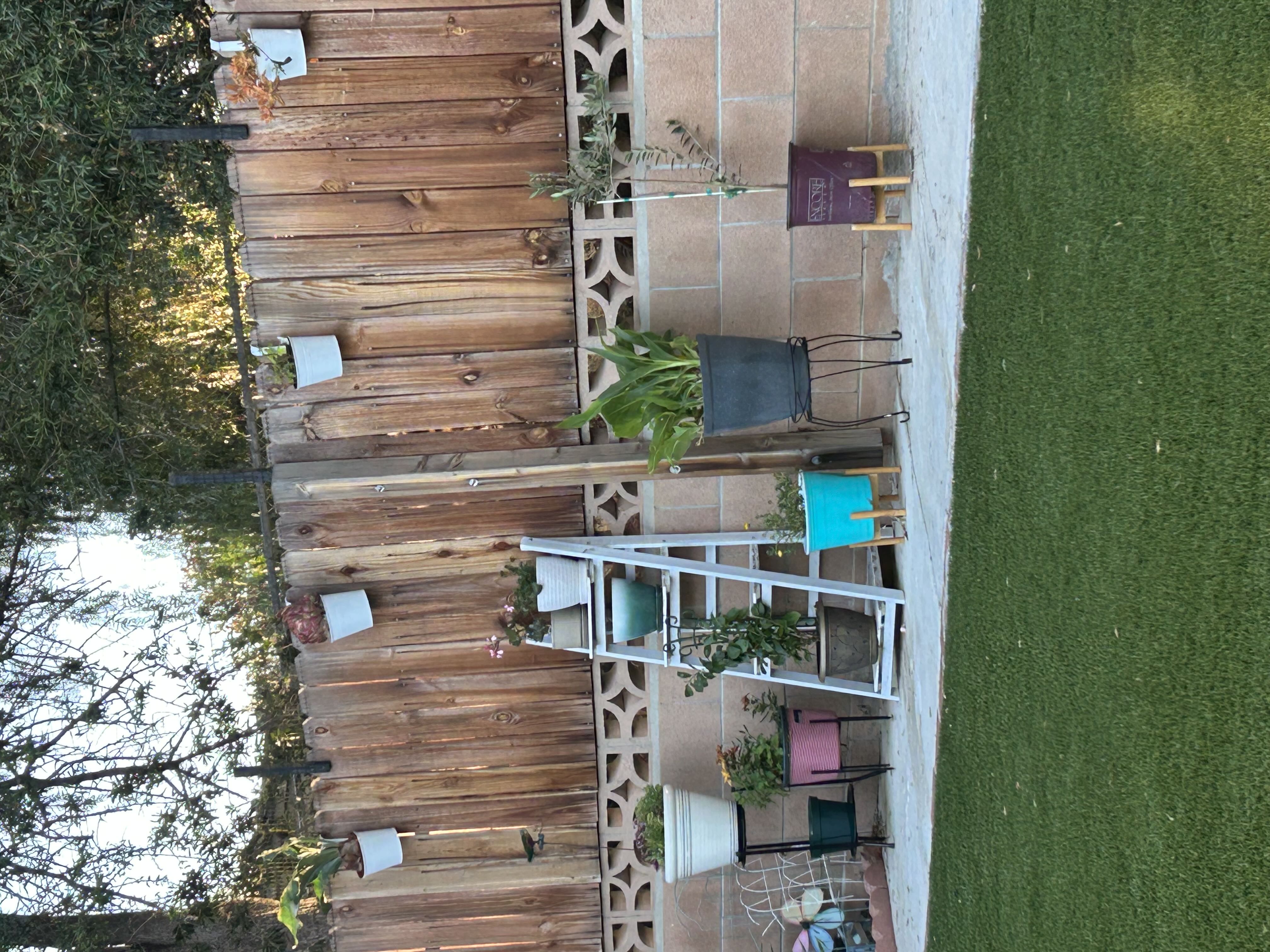 Photo from the post