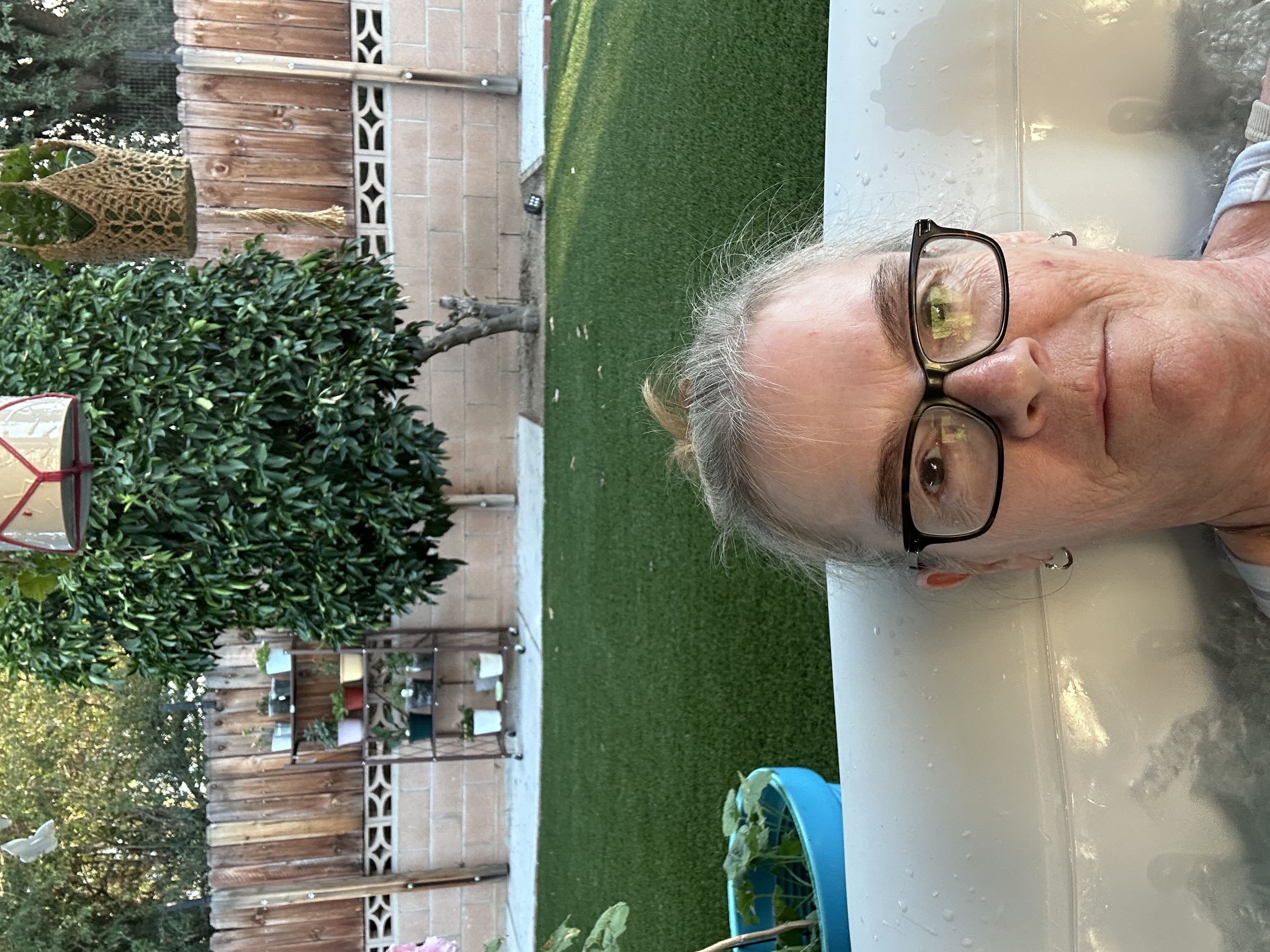 Photo from the post