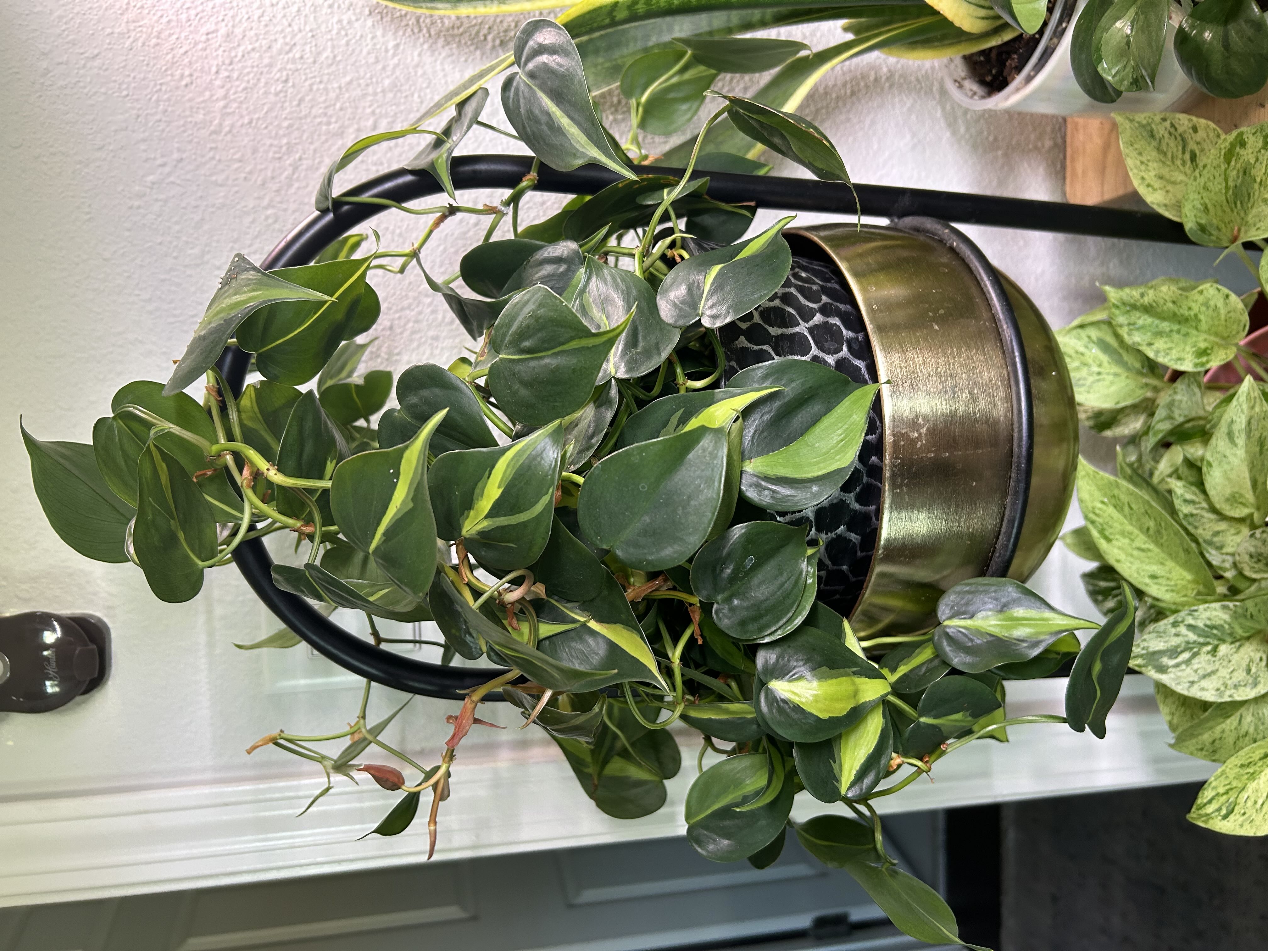 Photo from the post