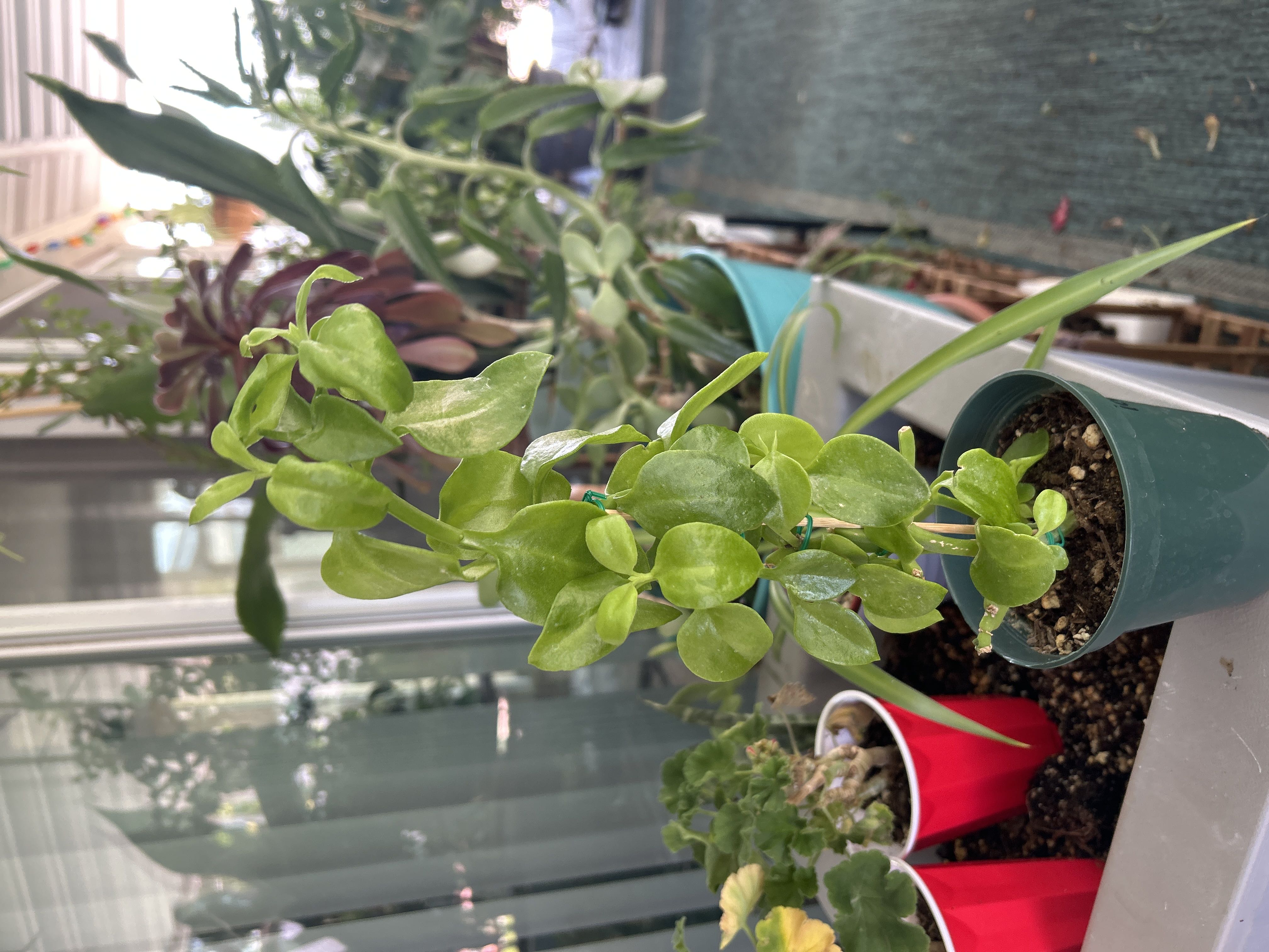 Photo from the post