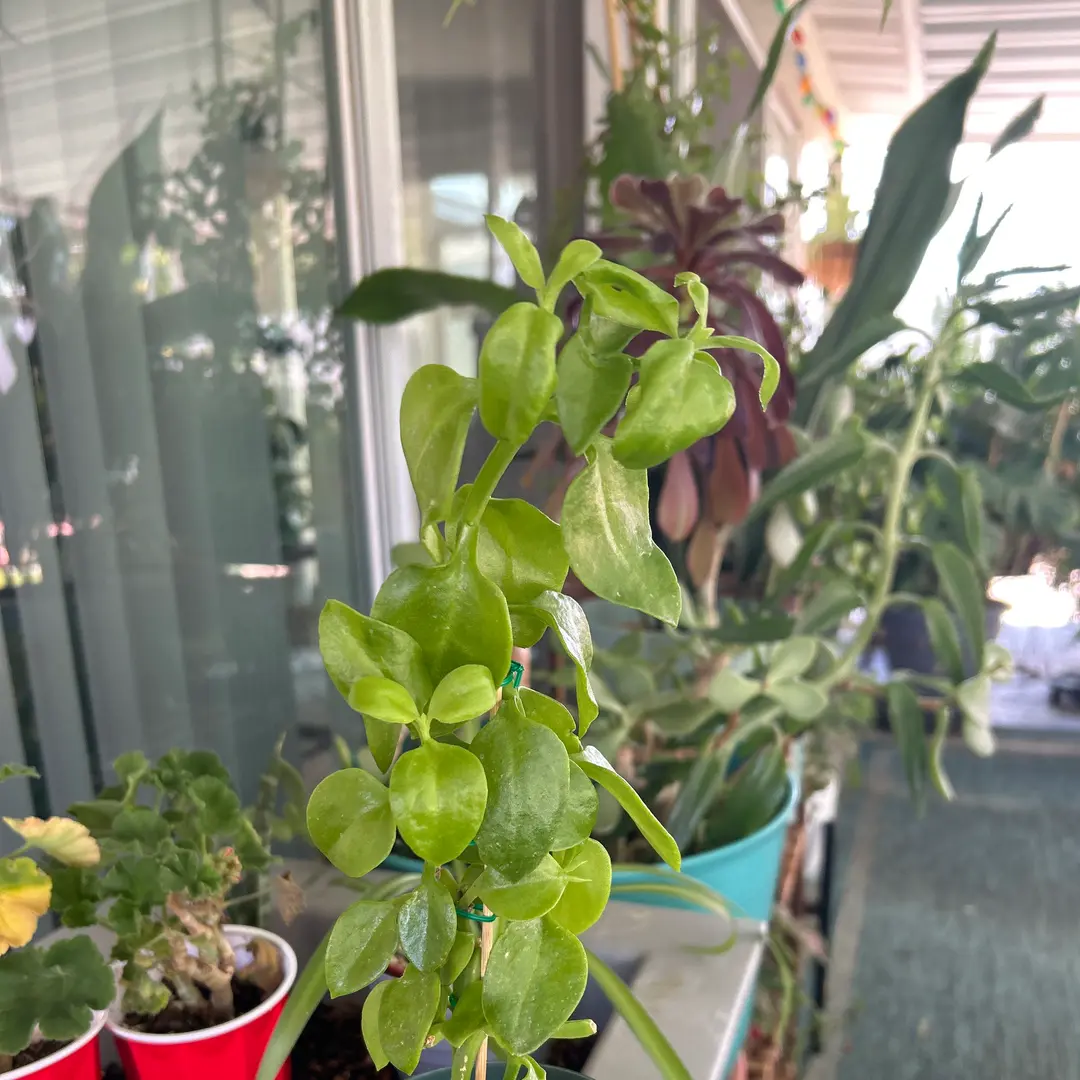 Photo from the post