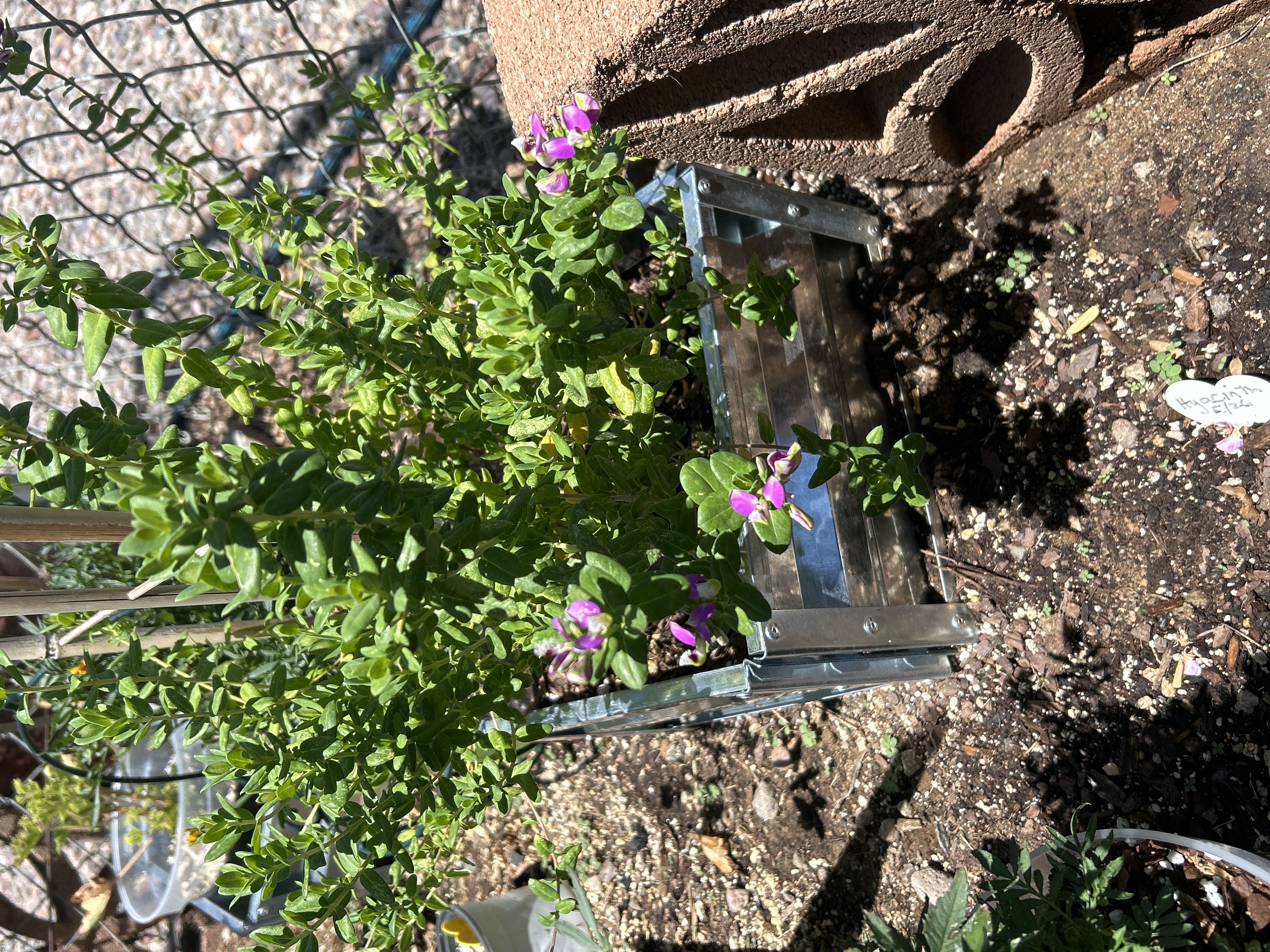 Photo from the post