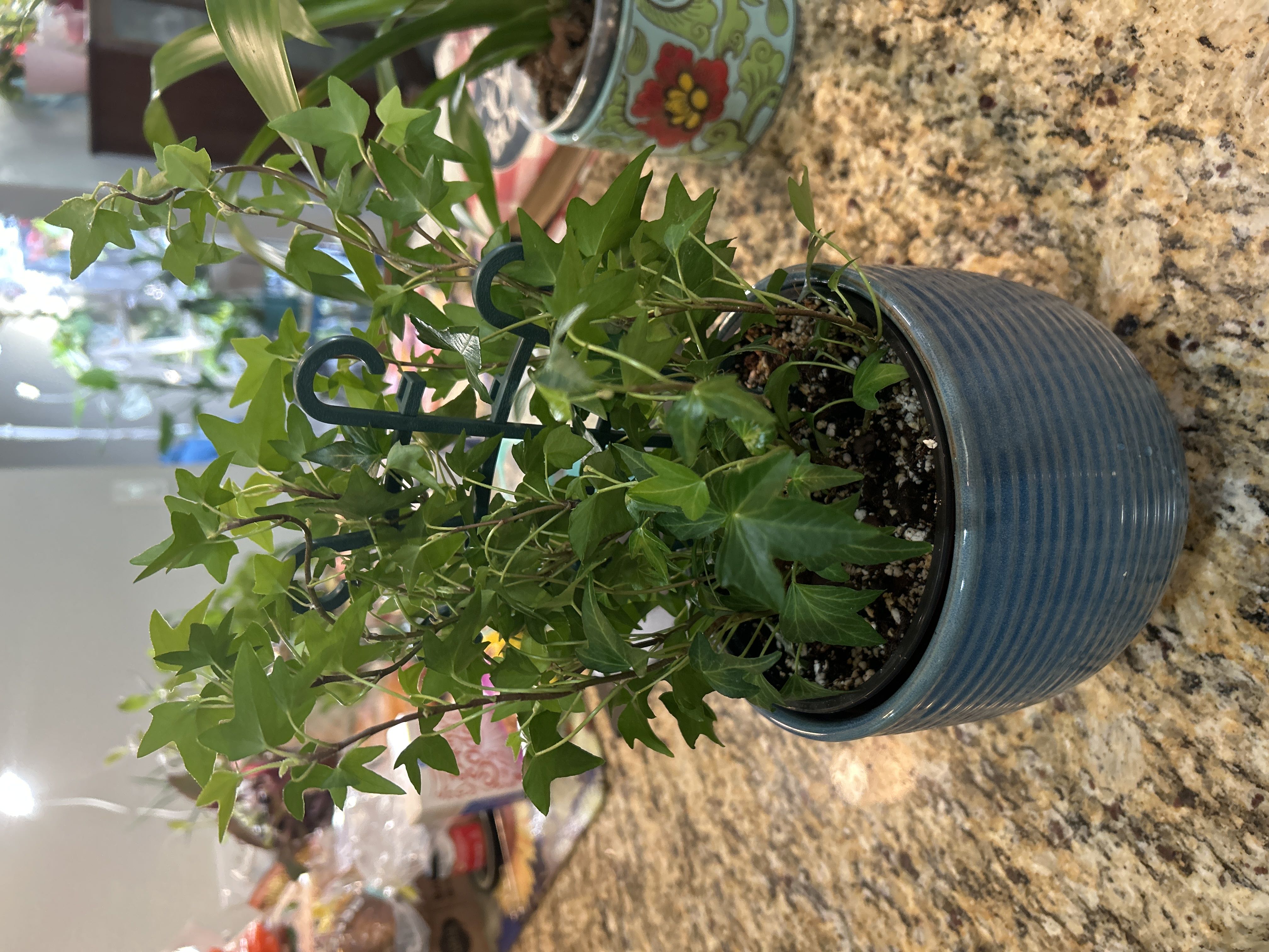 Photo from the post