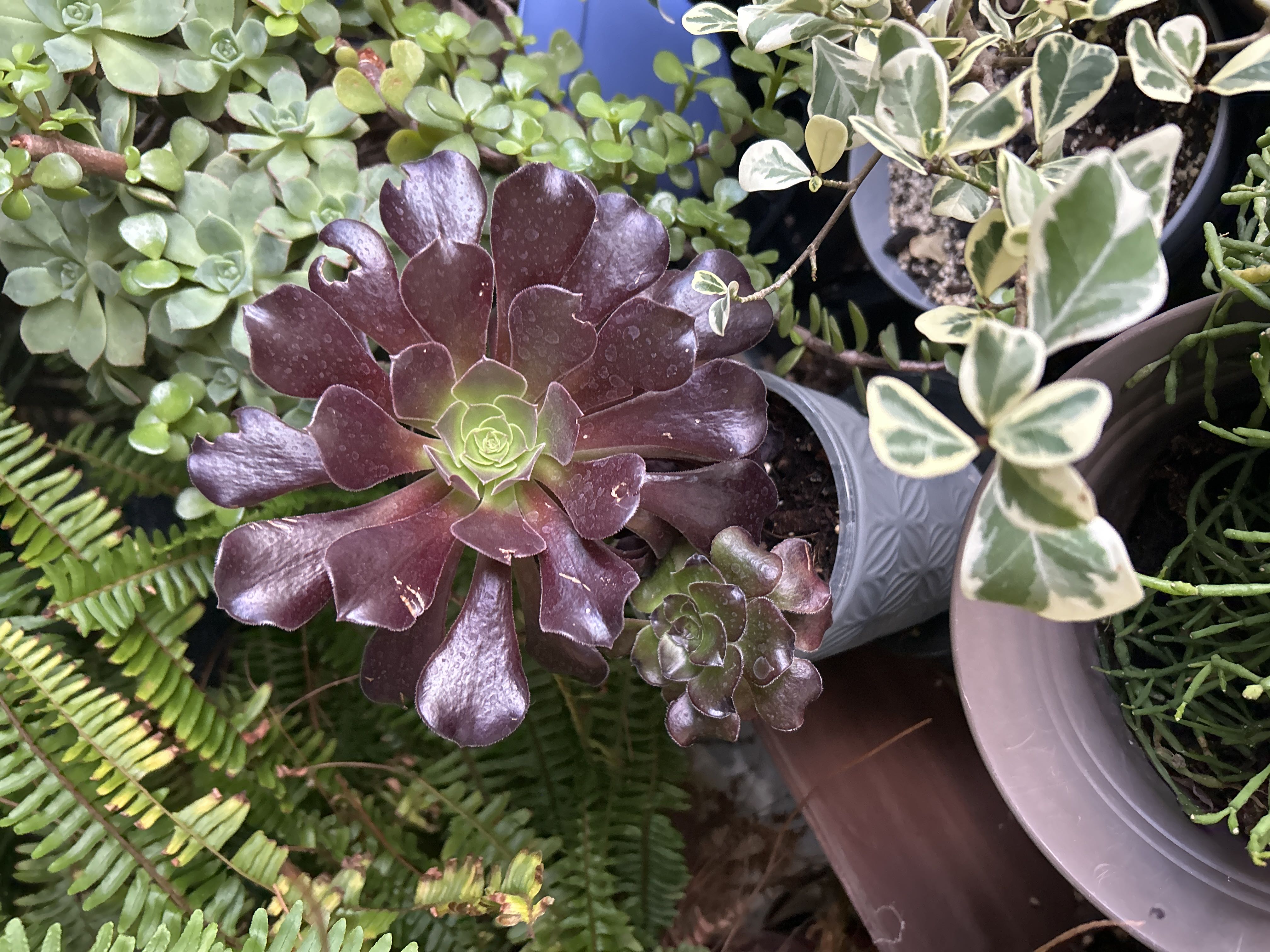 Photo from the post