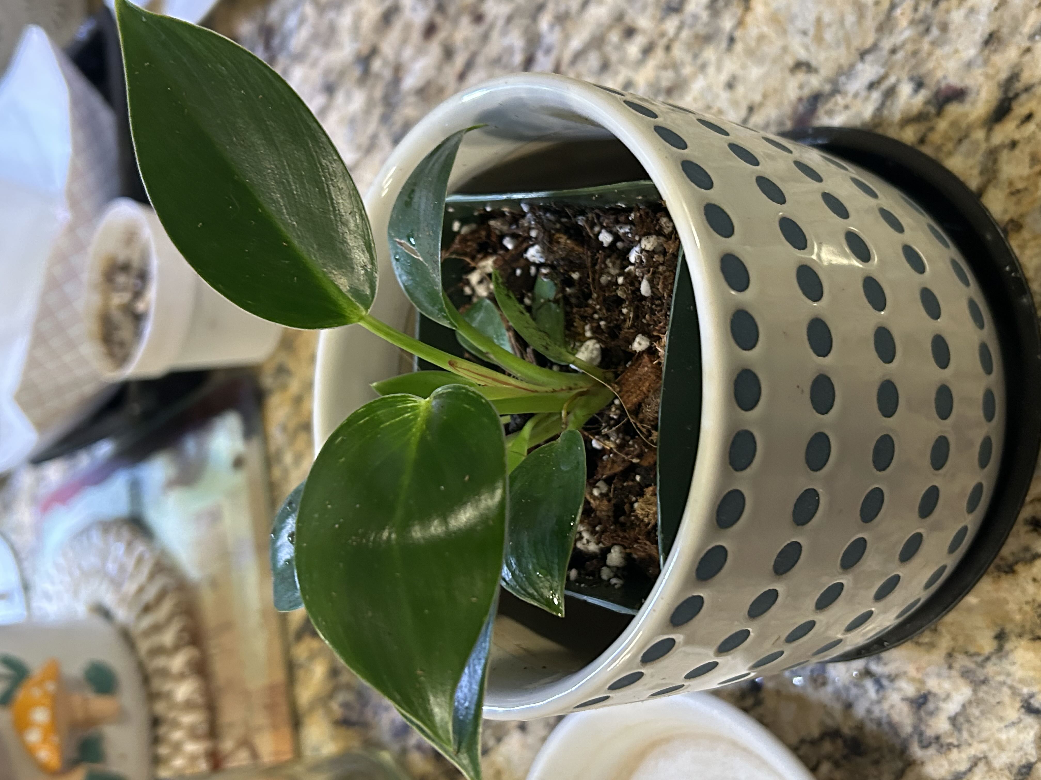 Photo from the post