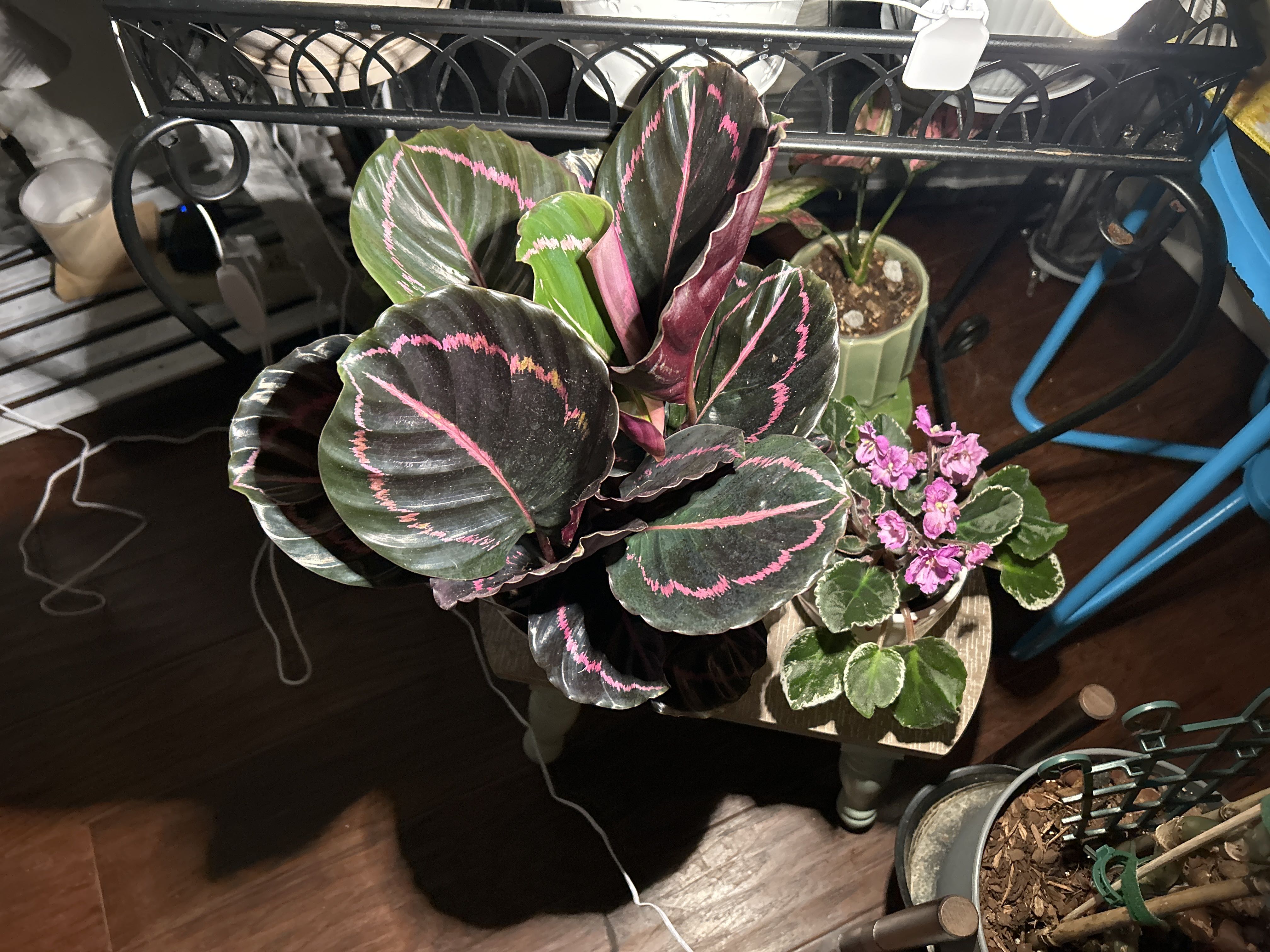 Photo from the post