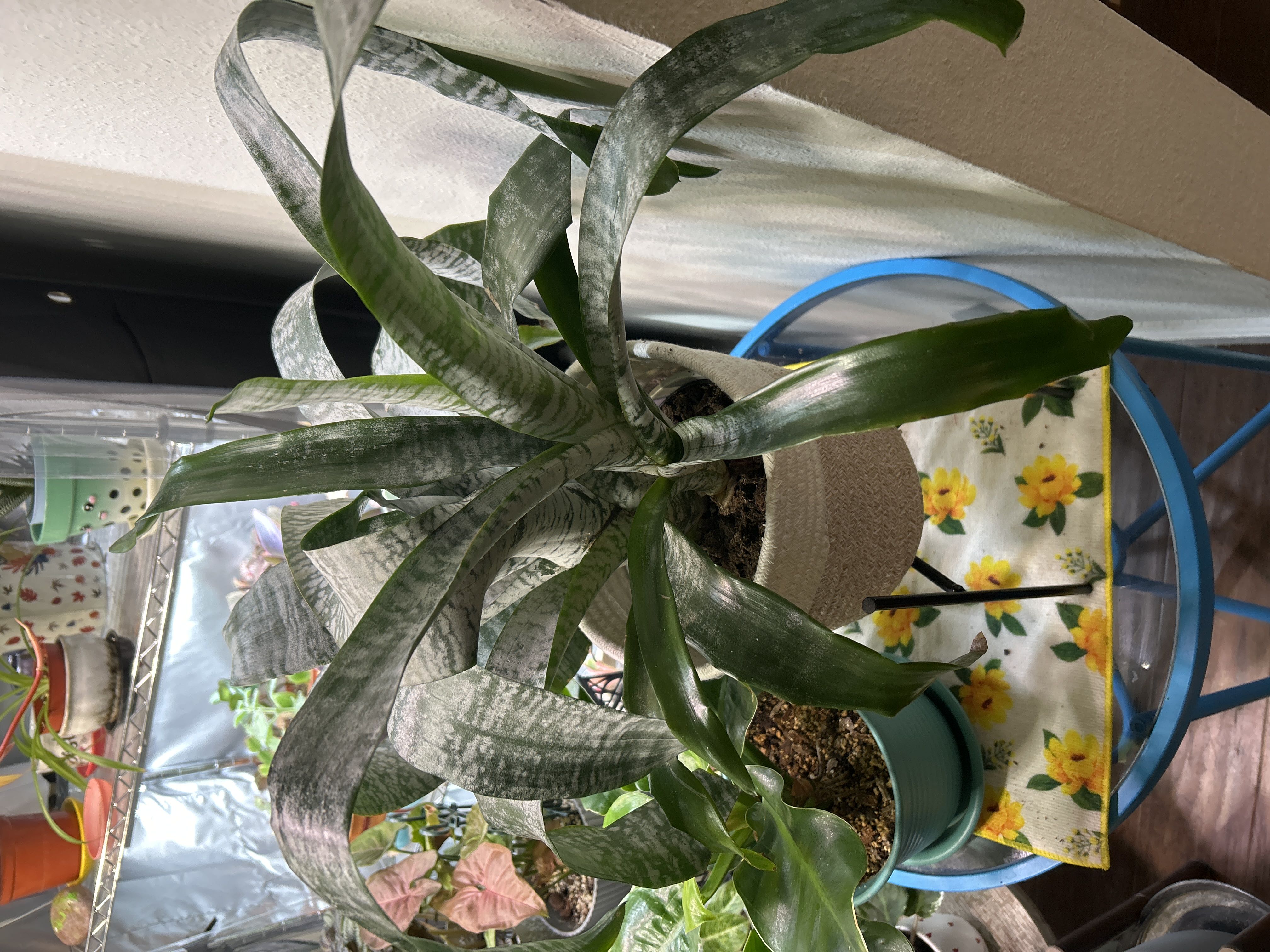 Photo from the post