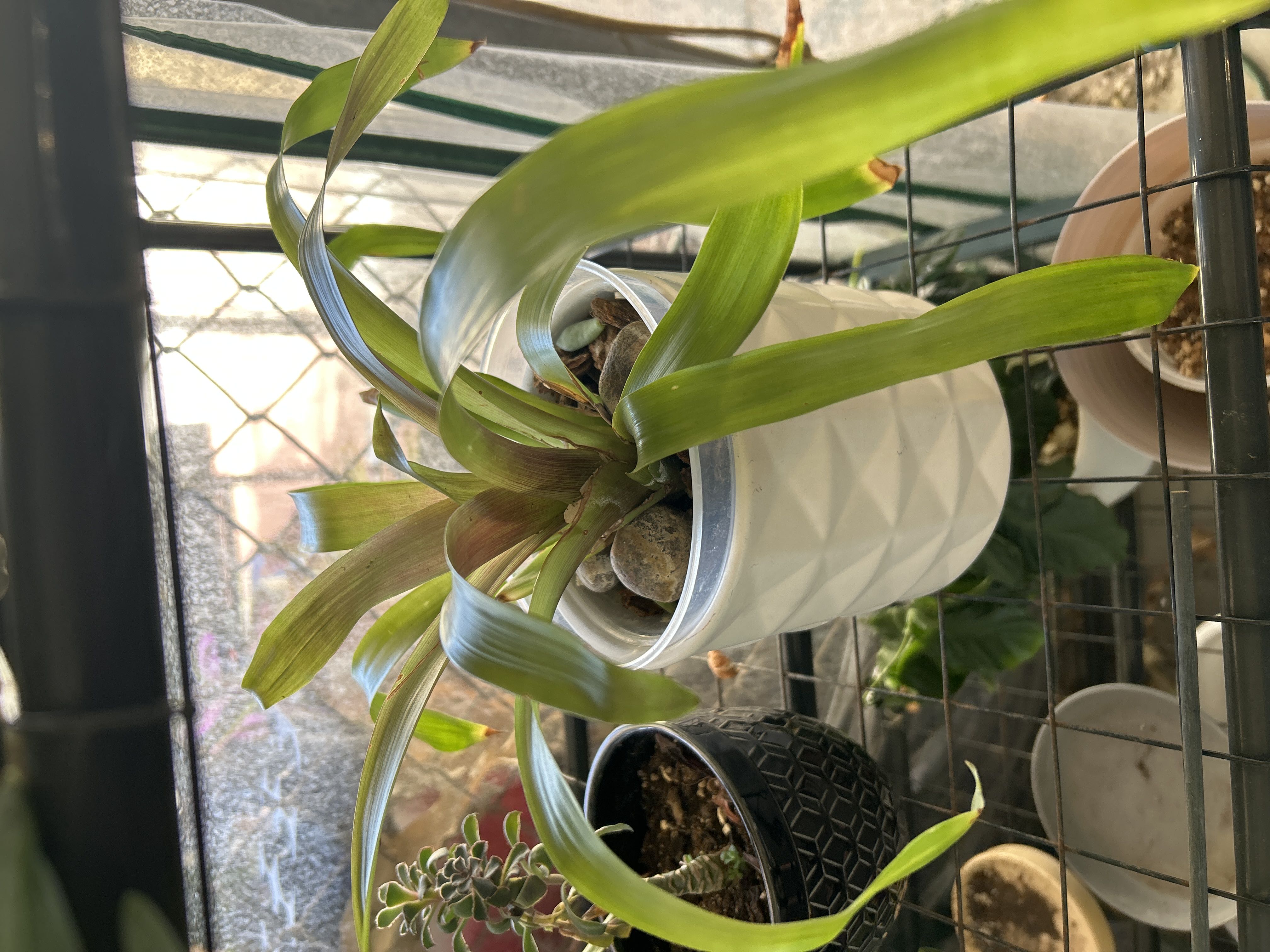 Photo from the post