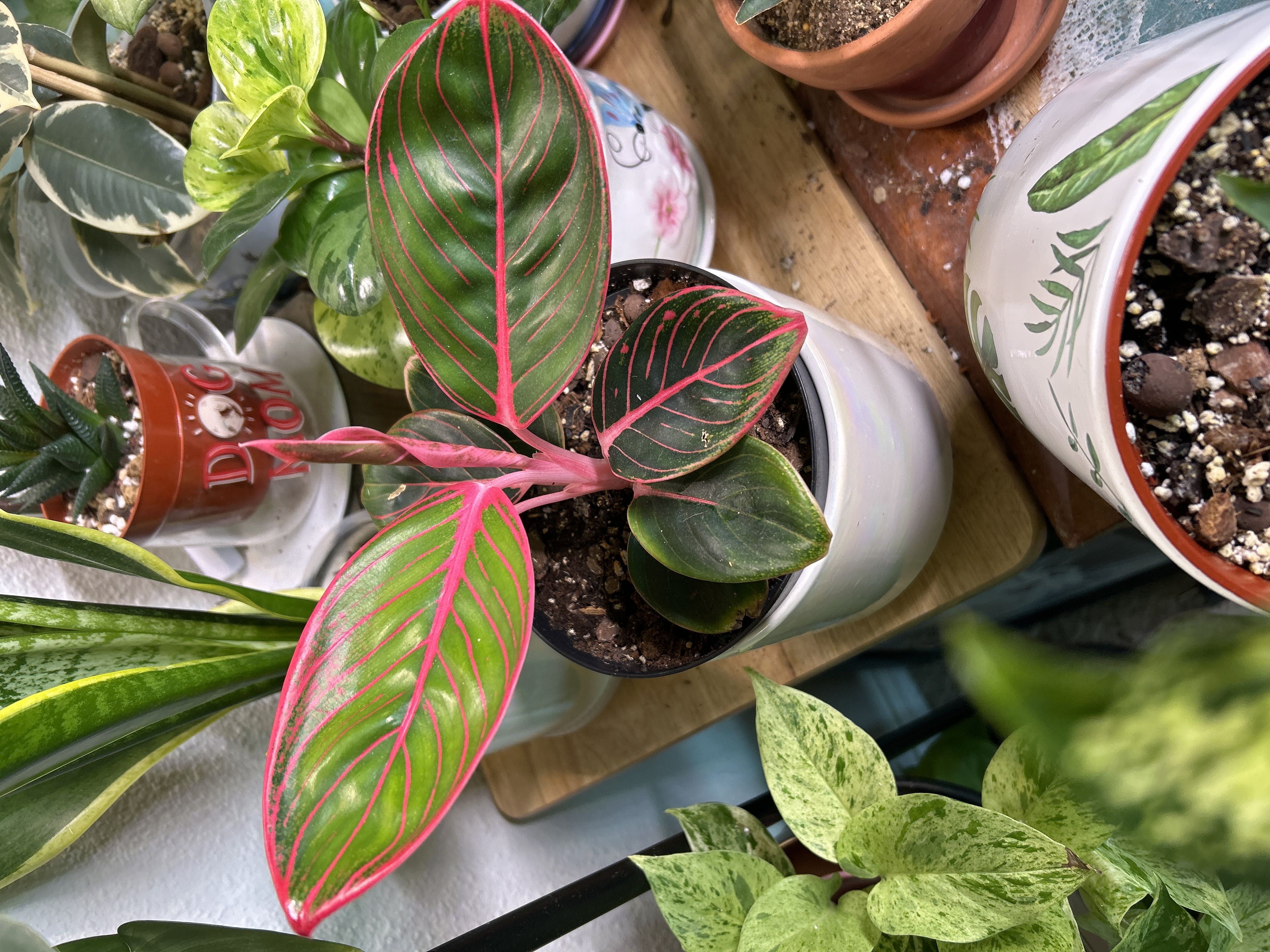 Photo from the post