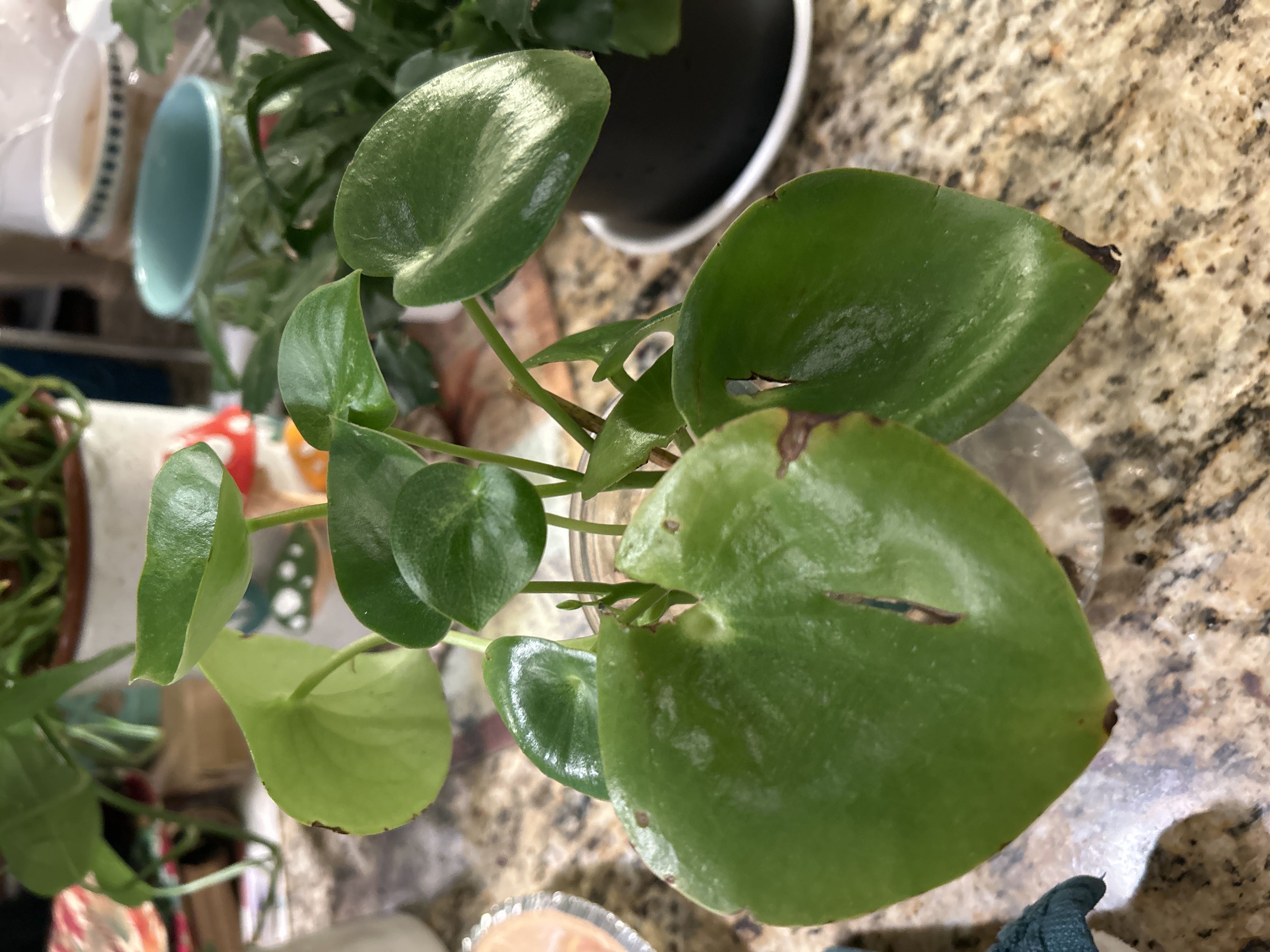 Photo from the post