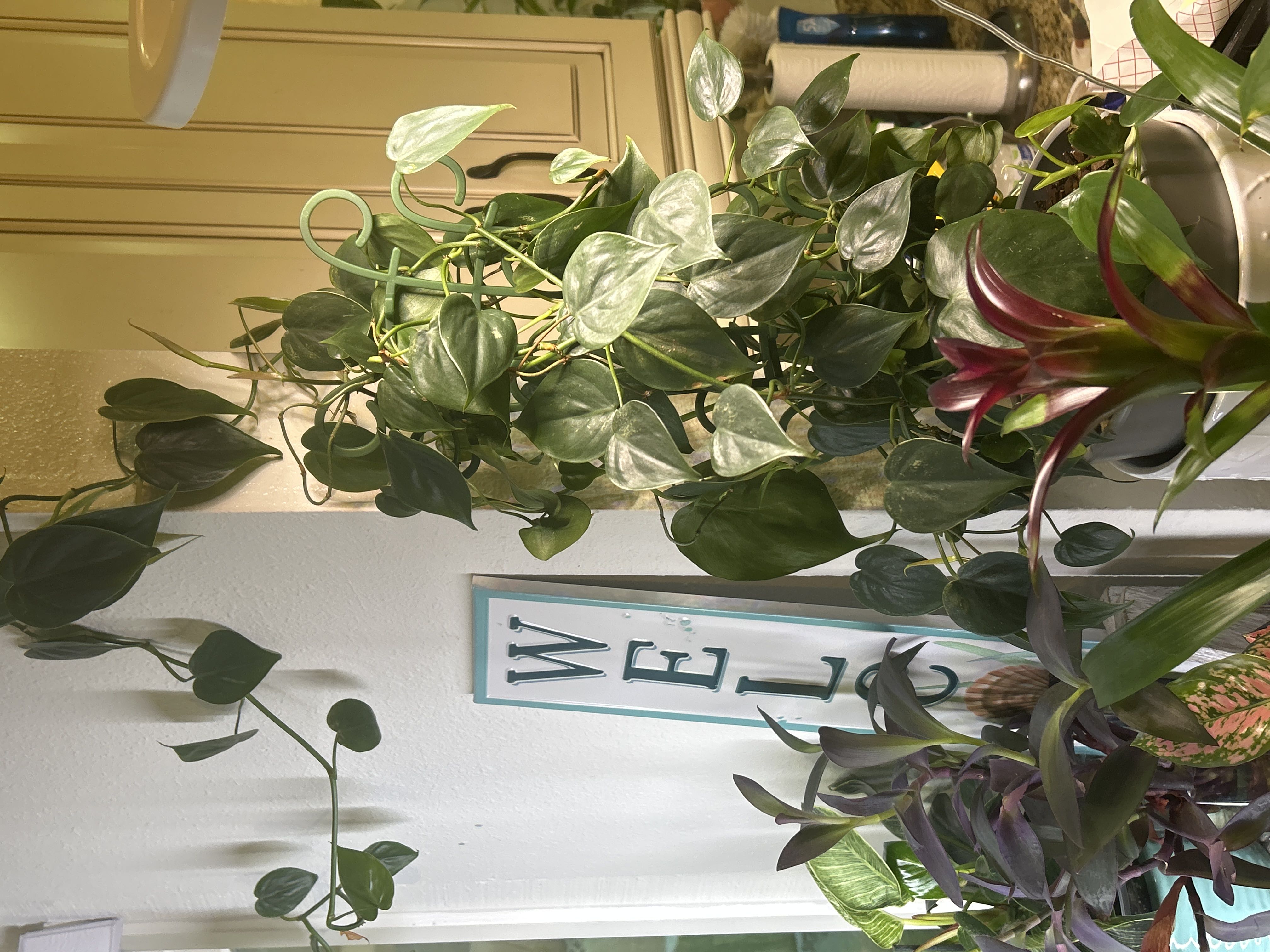 Photo from the post