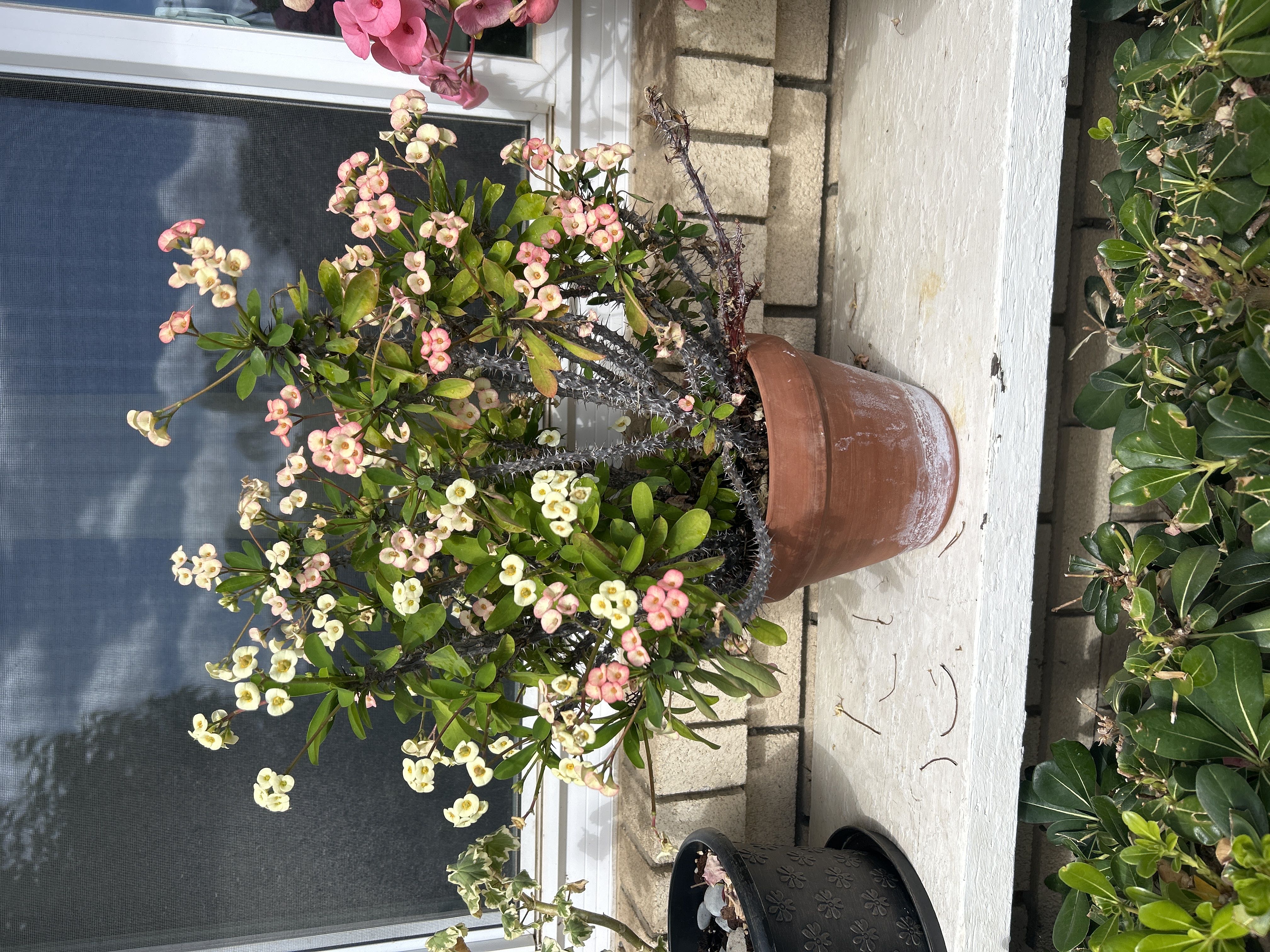 Photo from the post