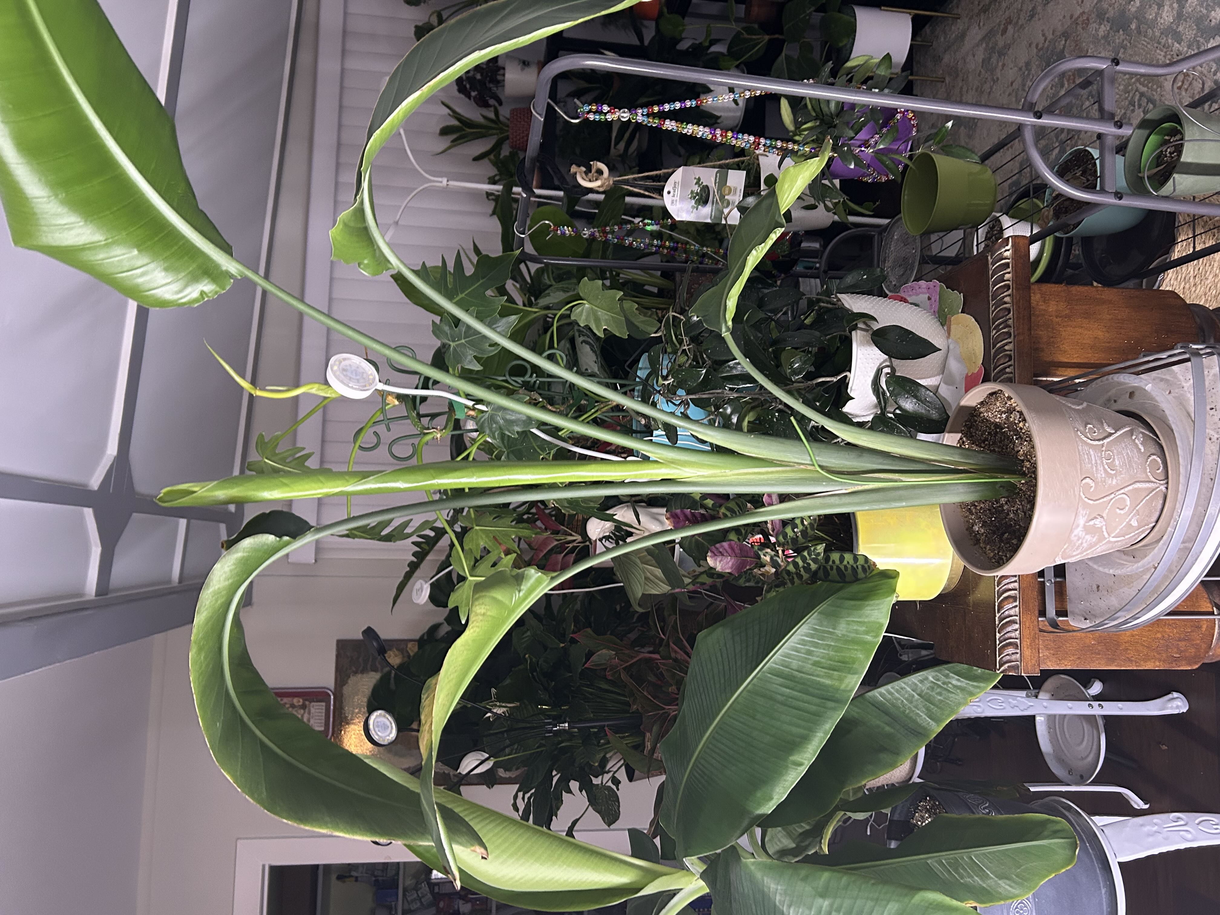 Photo from the post