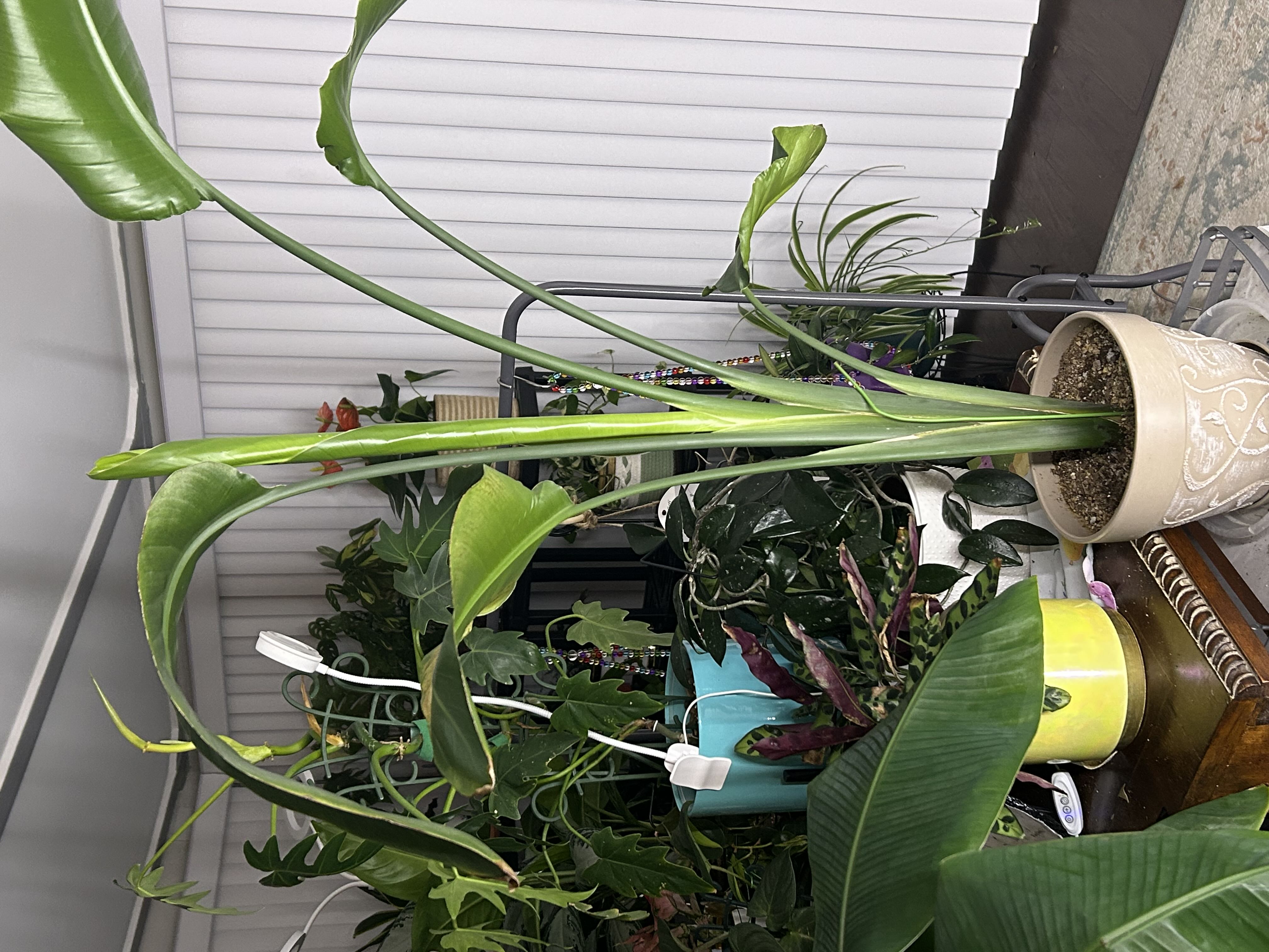 Photo from the post