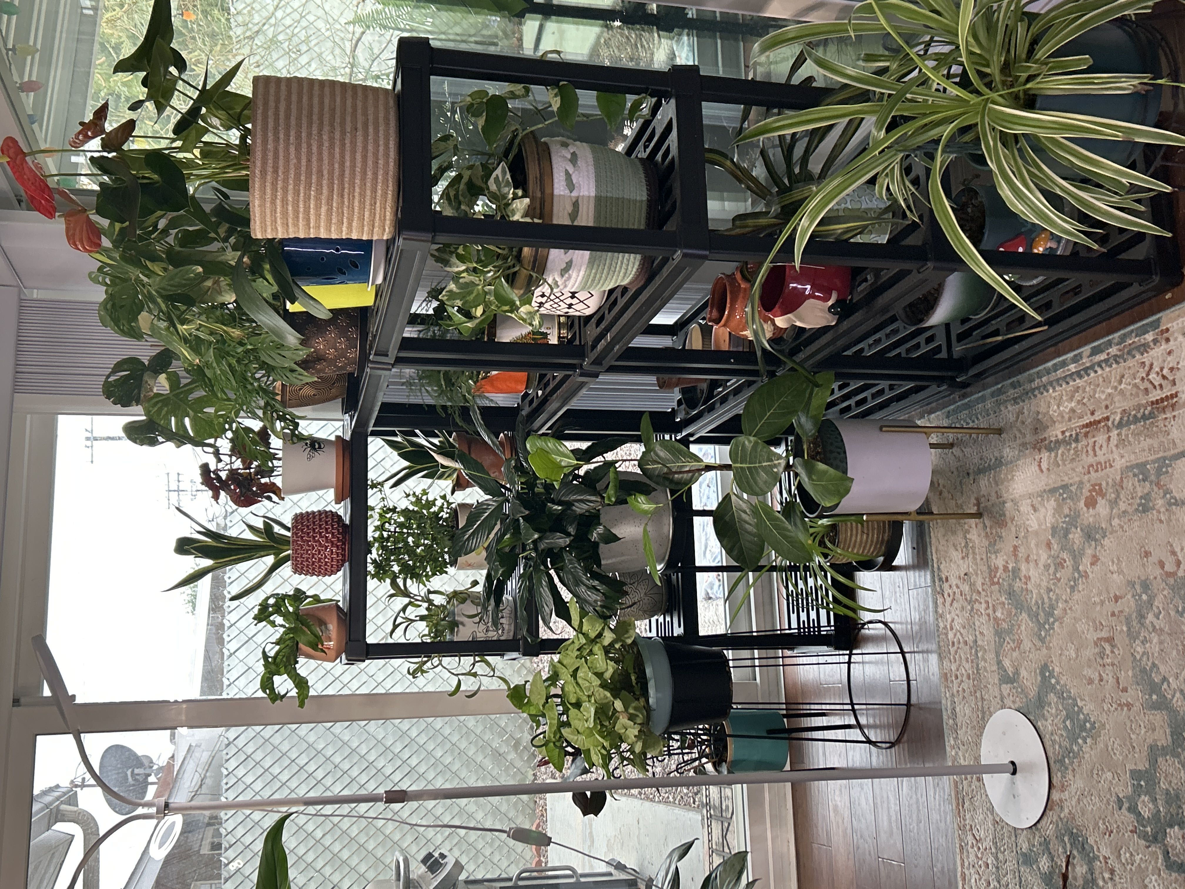 Photo from the post