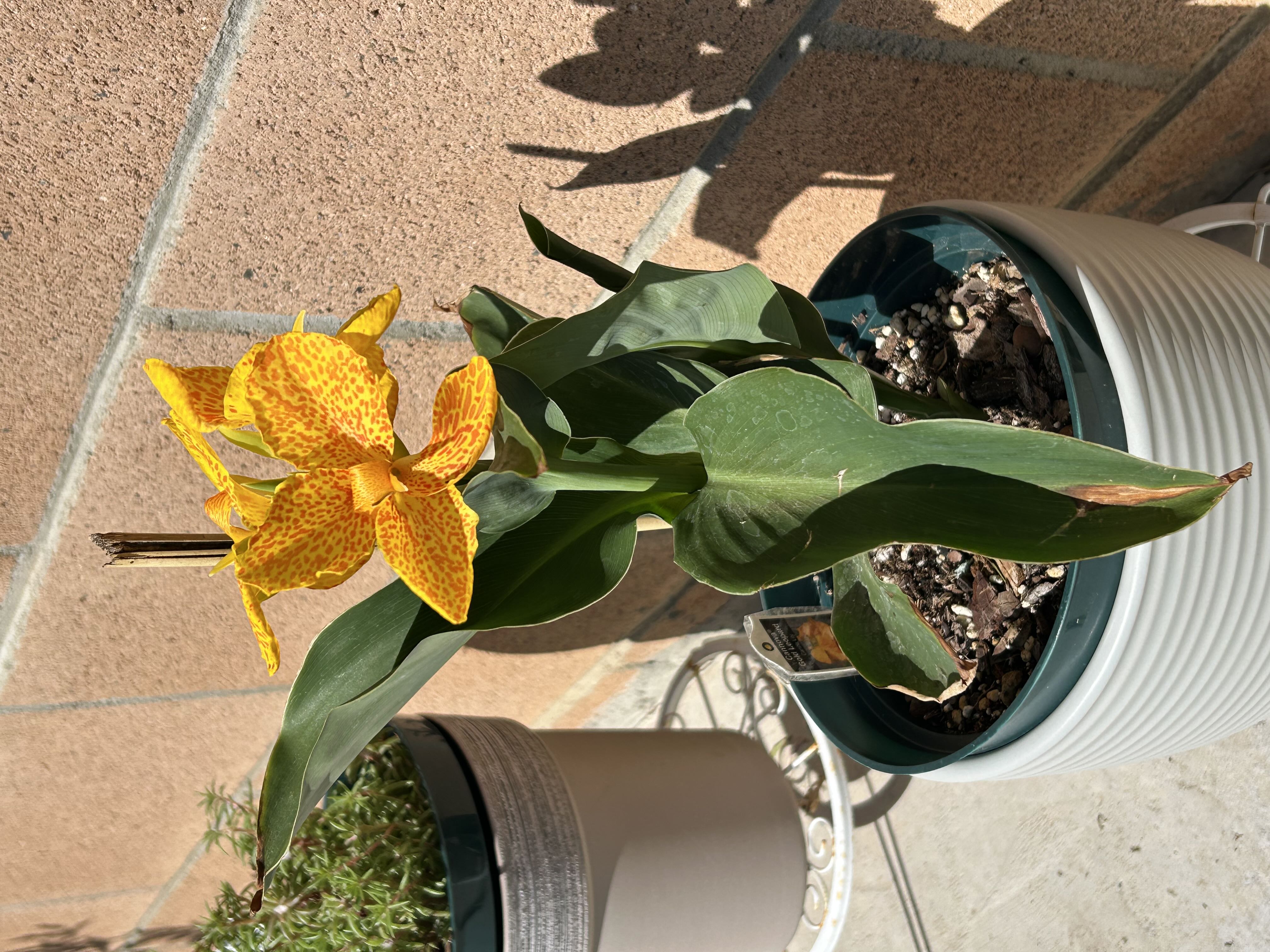 Photo from the post