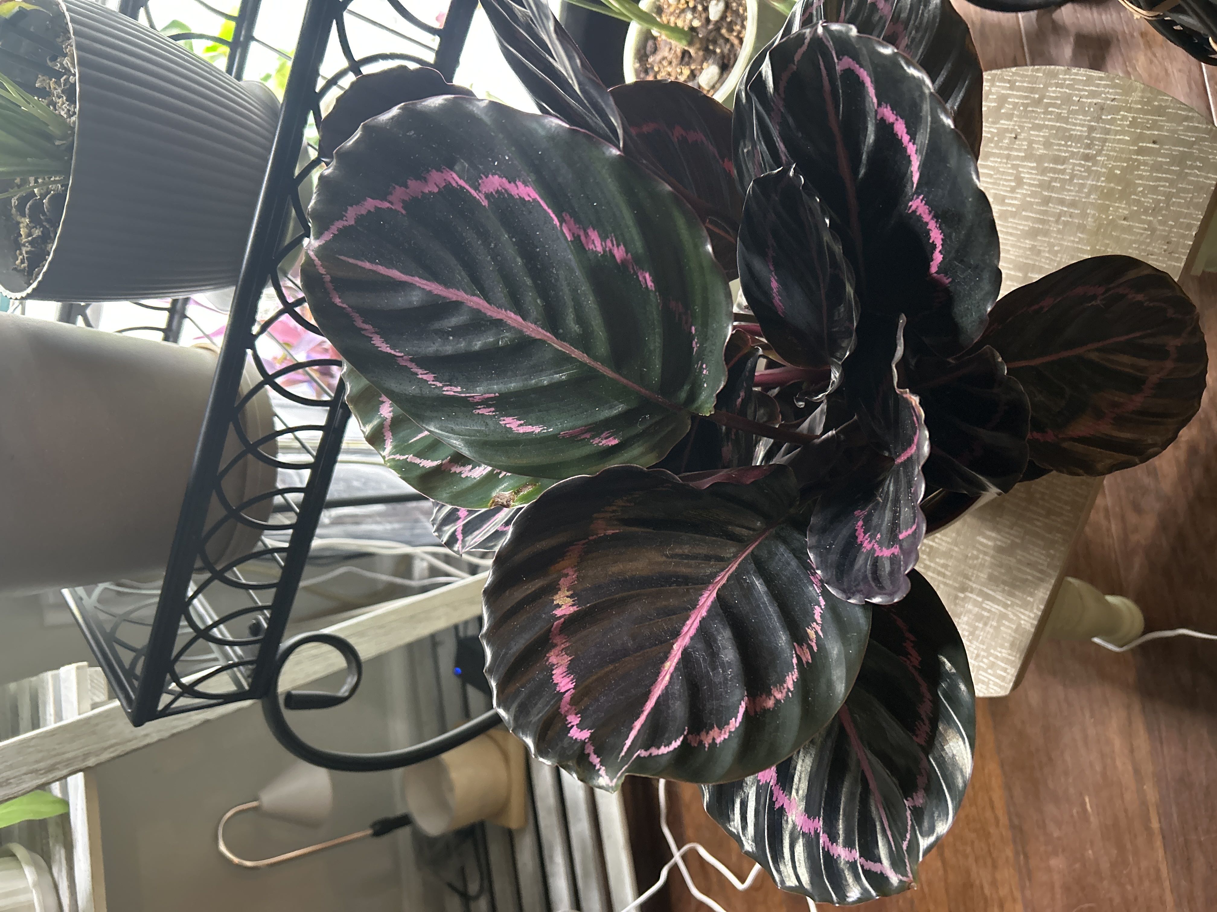 Photo from the post