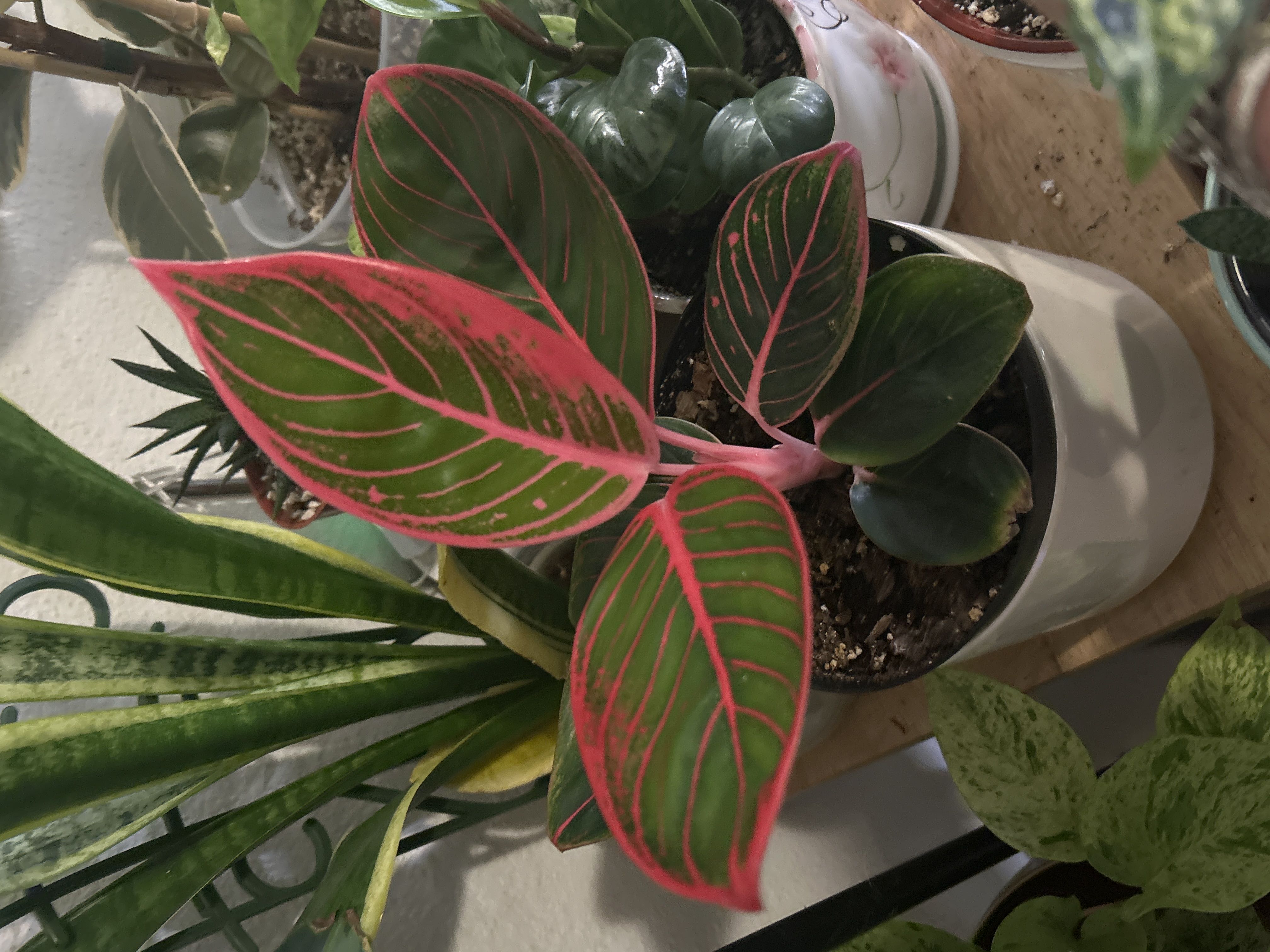 Photo from the post