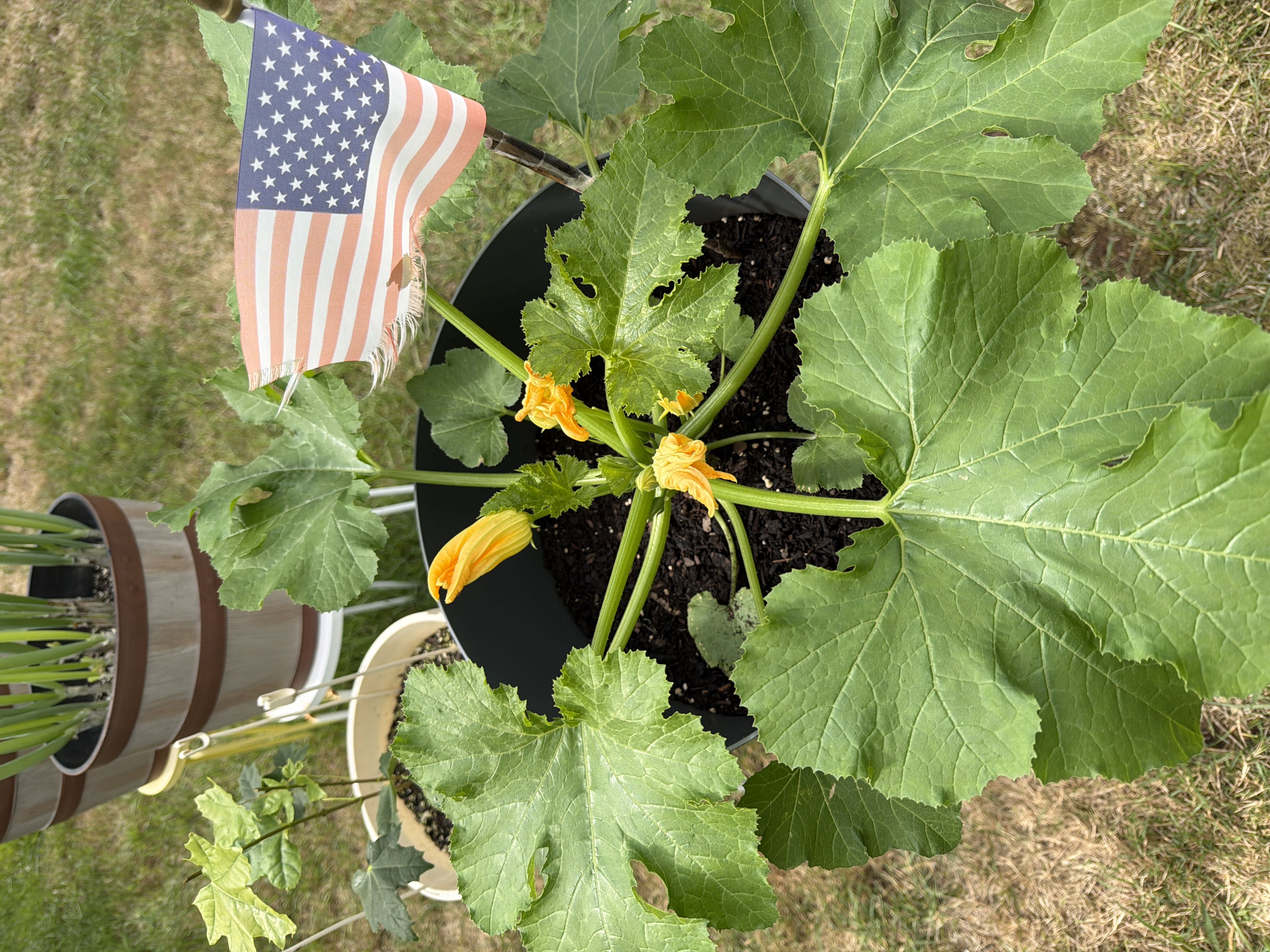 Photo from the post