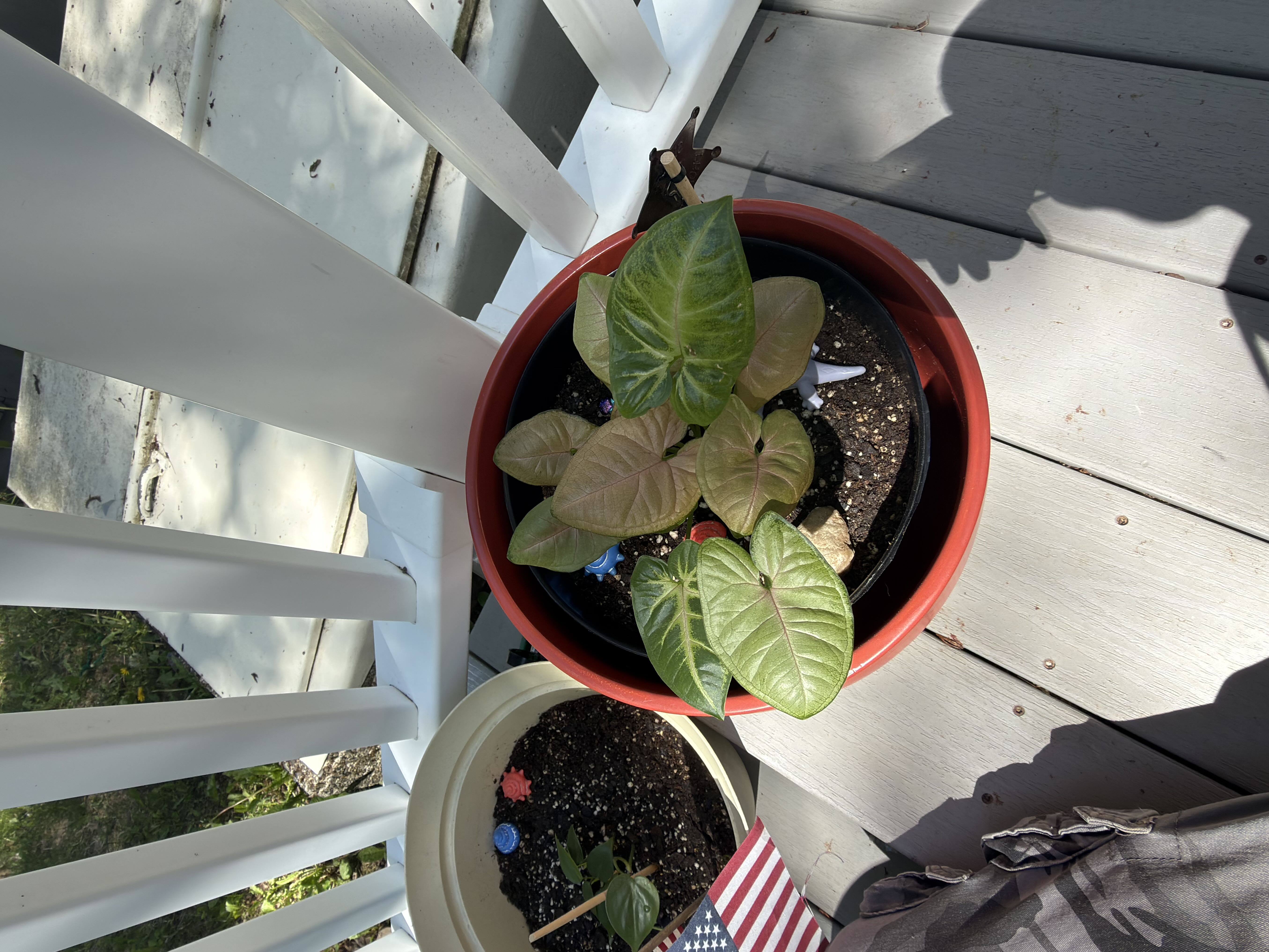 Photo from the post