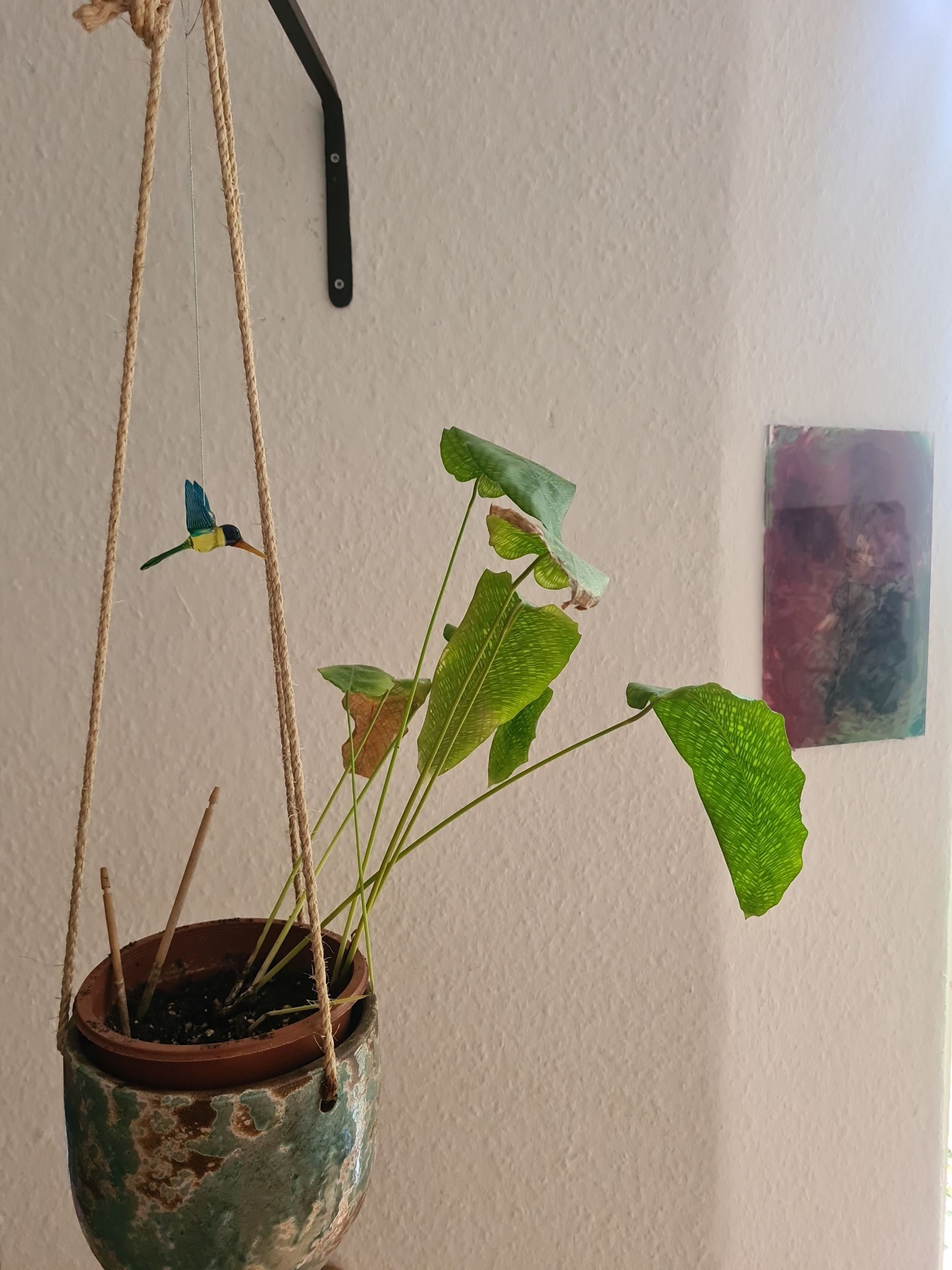 Photo from the post