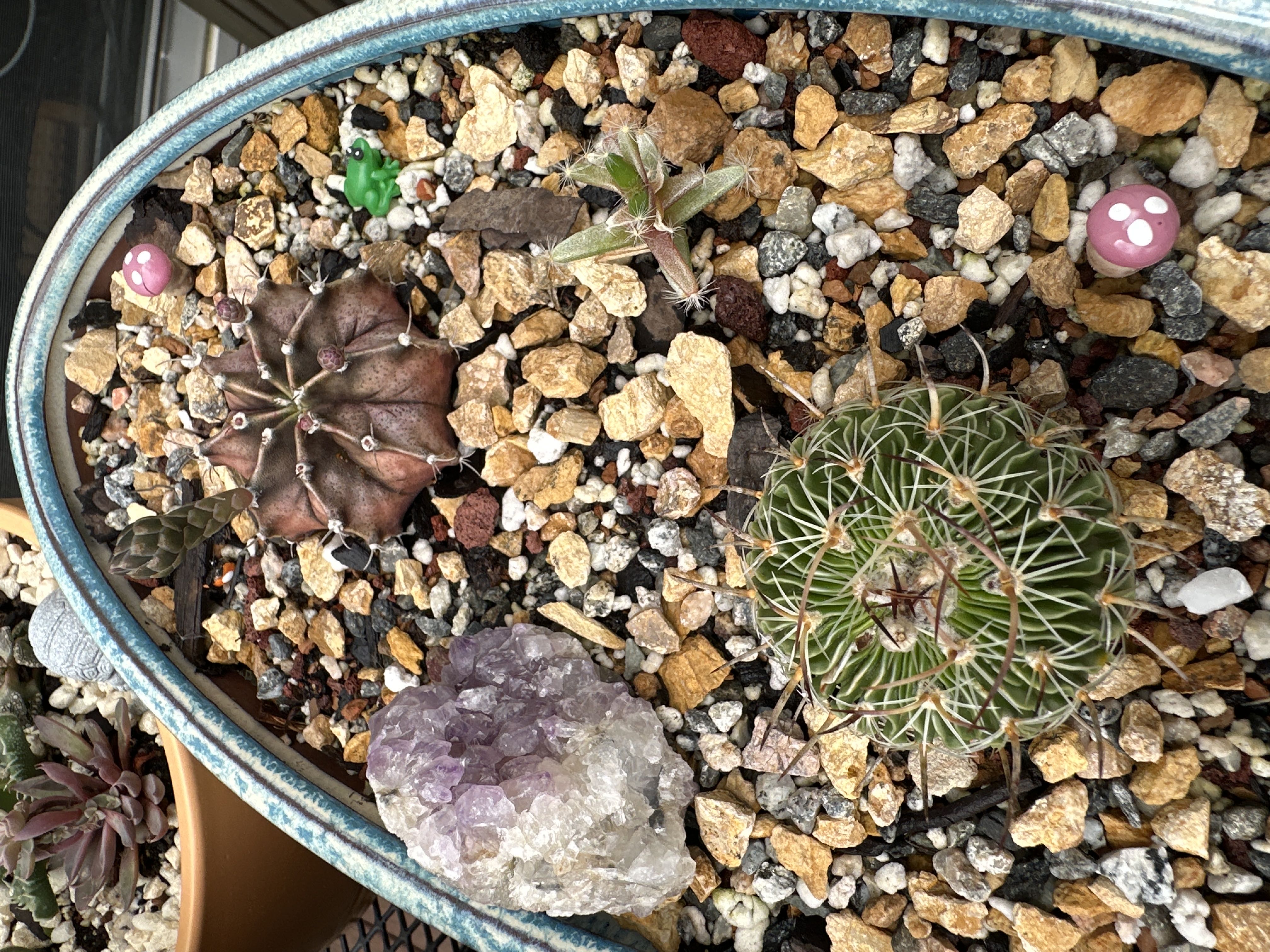 Photo from the post