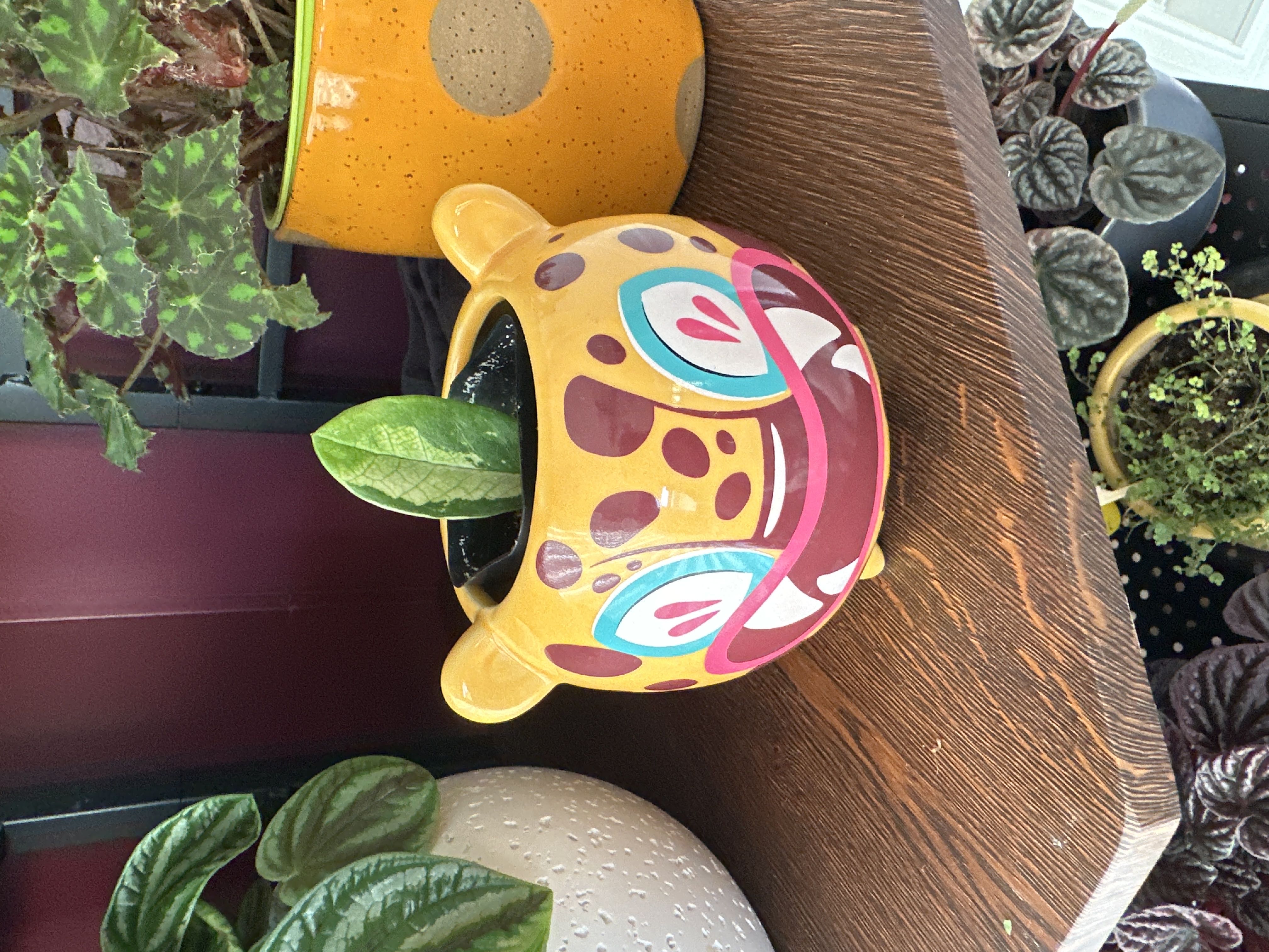 Photo from the post