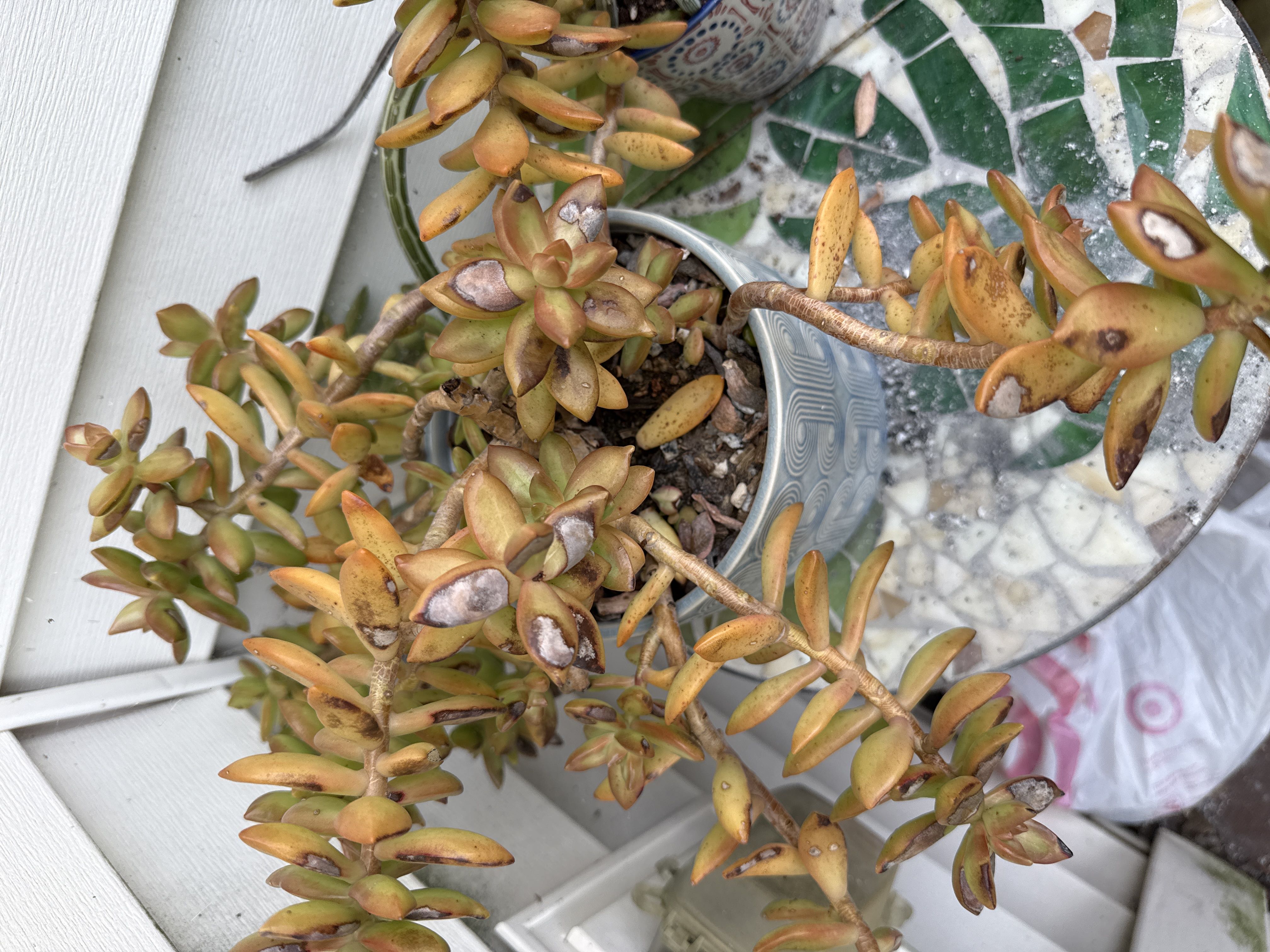 Photo from the post
