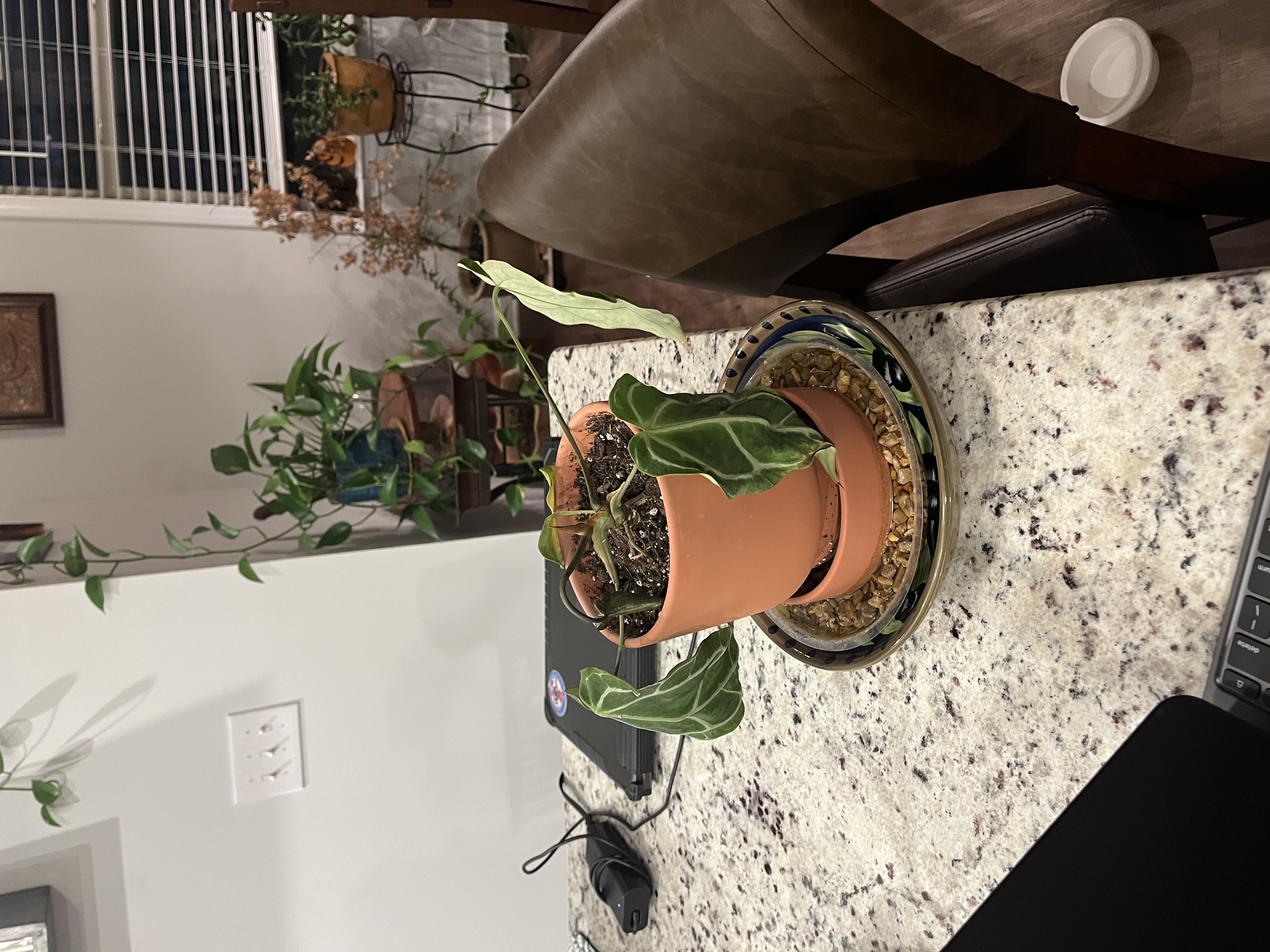 Photo from the post