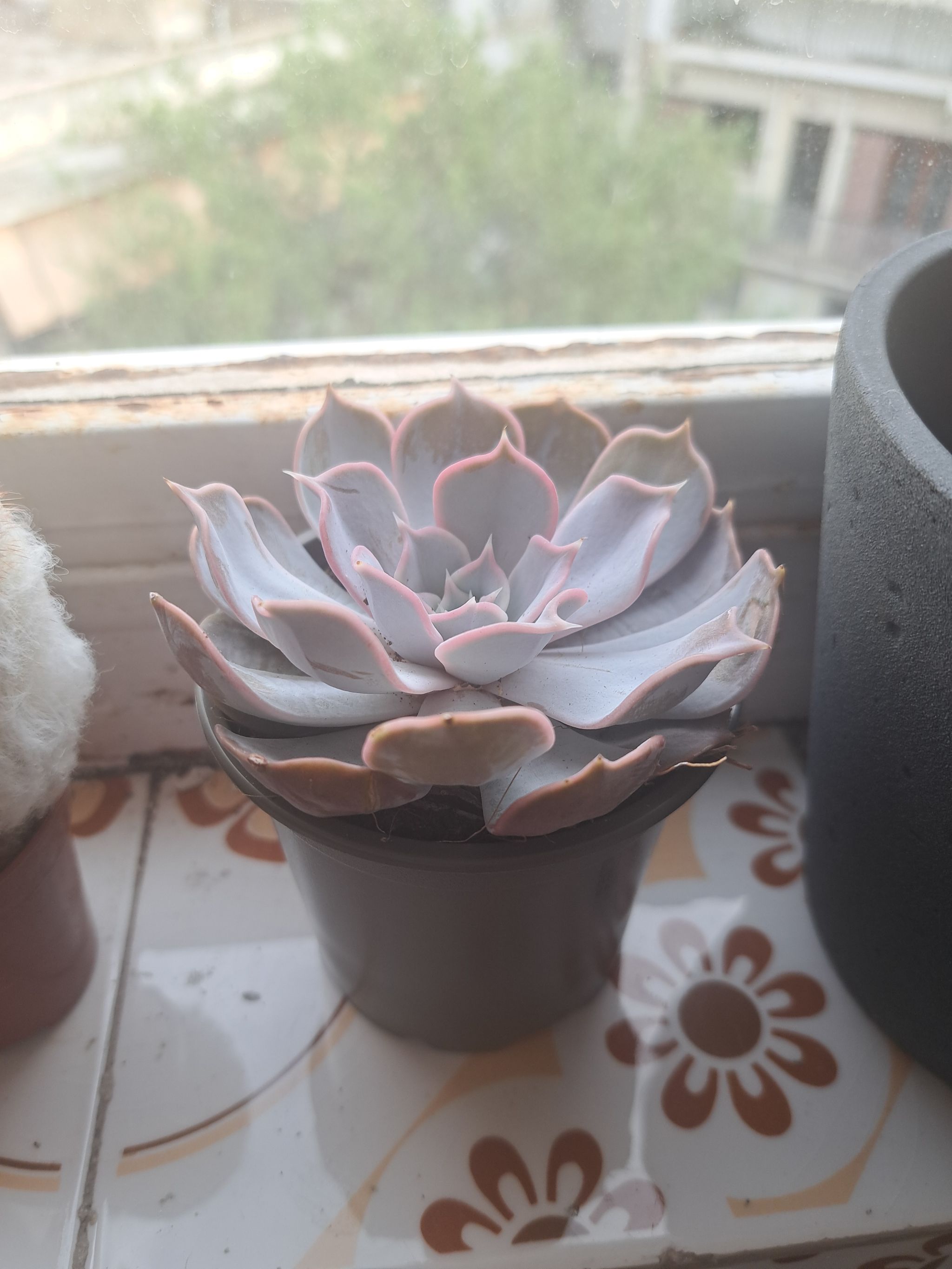 Photo from the post