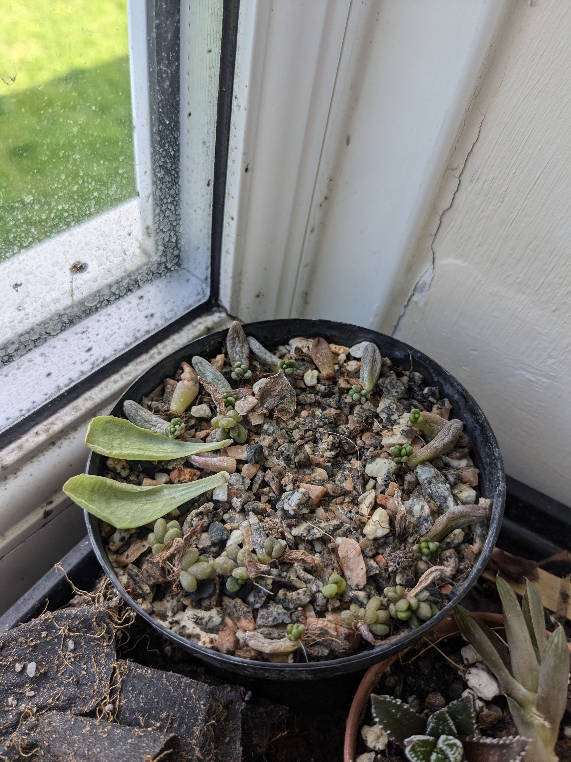 Photo from the post