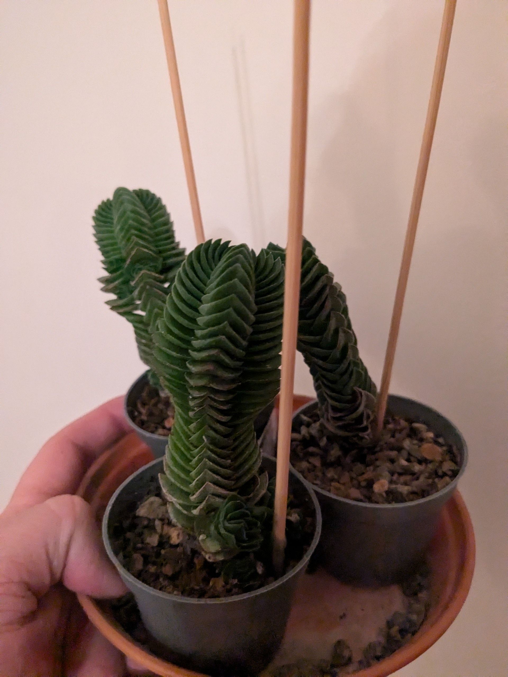 Photo from the post
