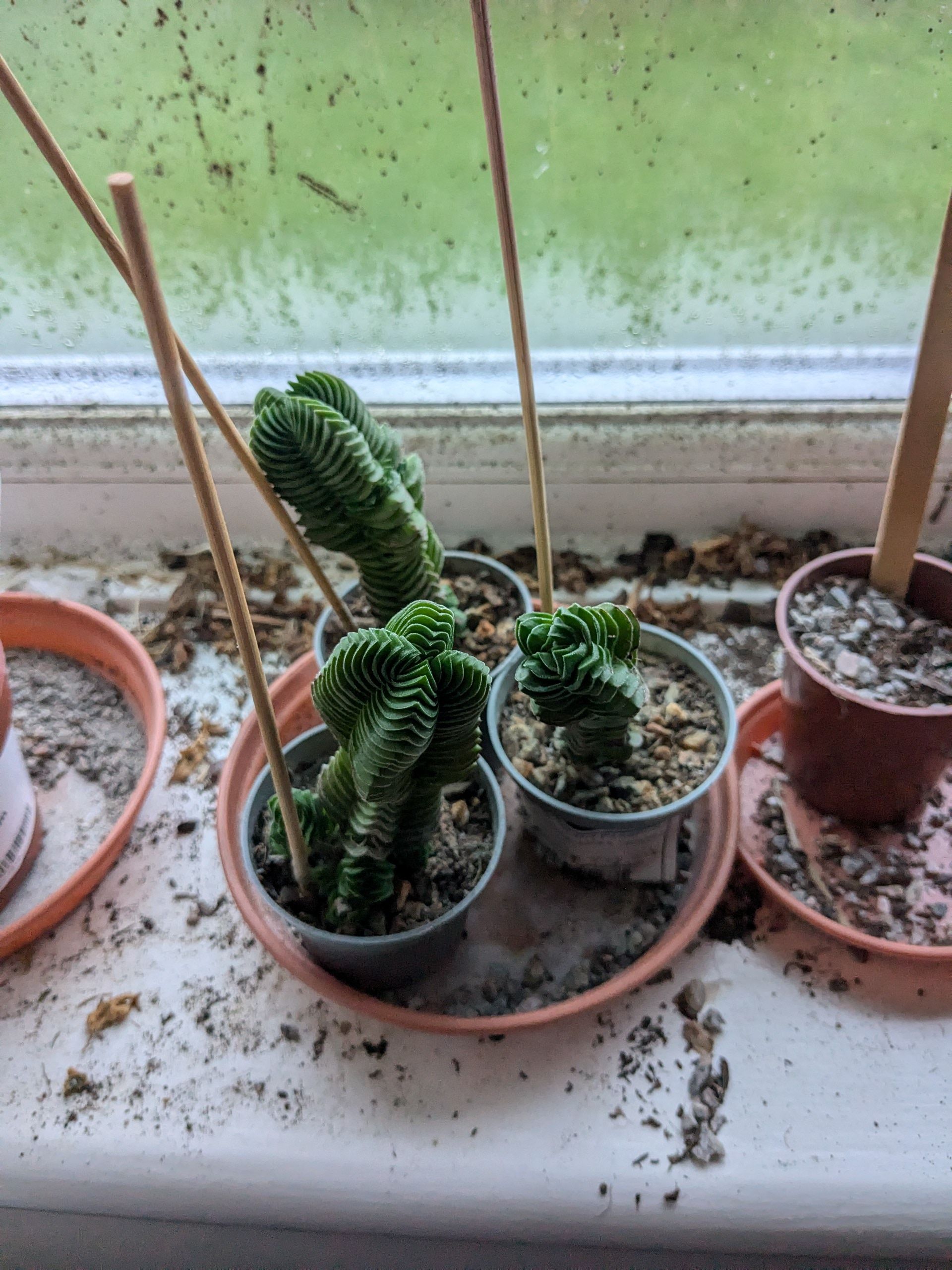 Photo from the post