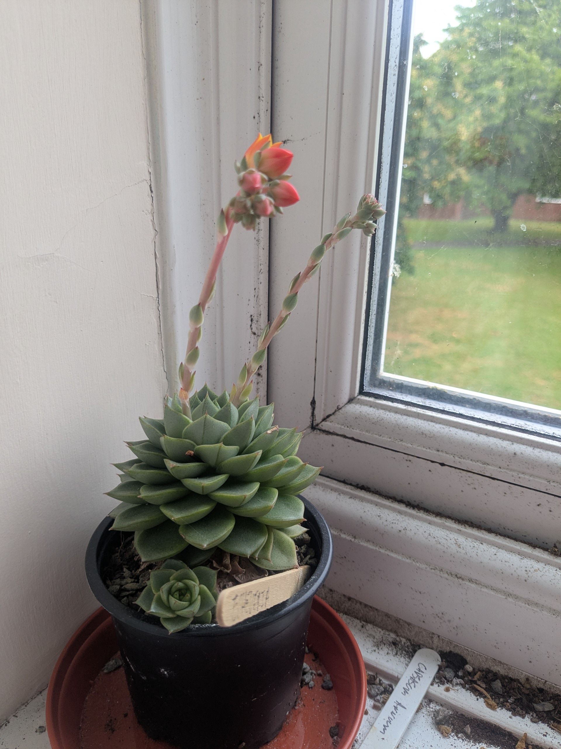 Photo from the post