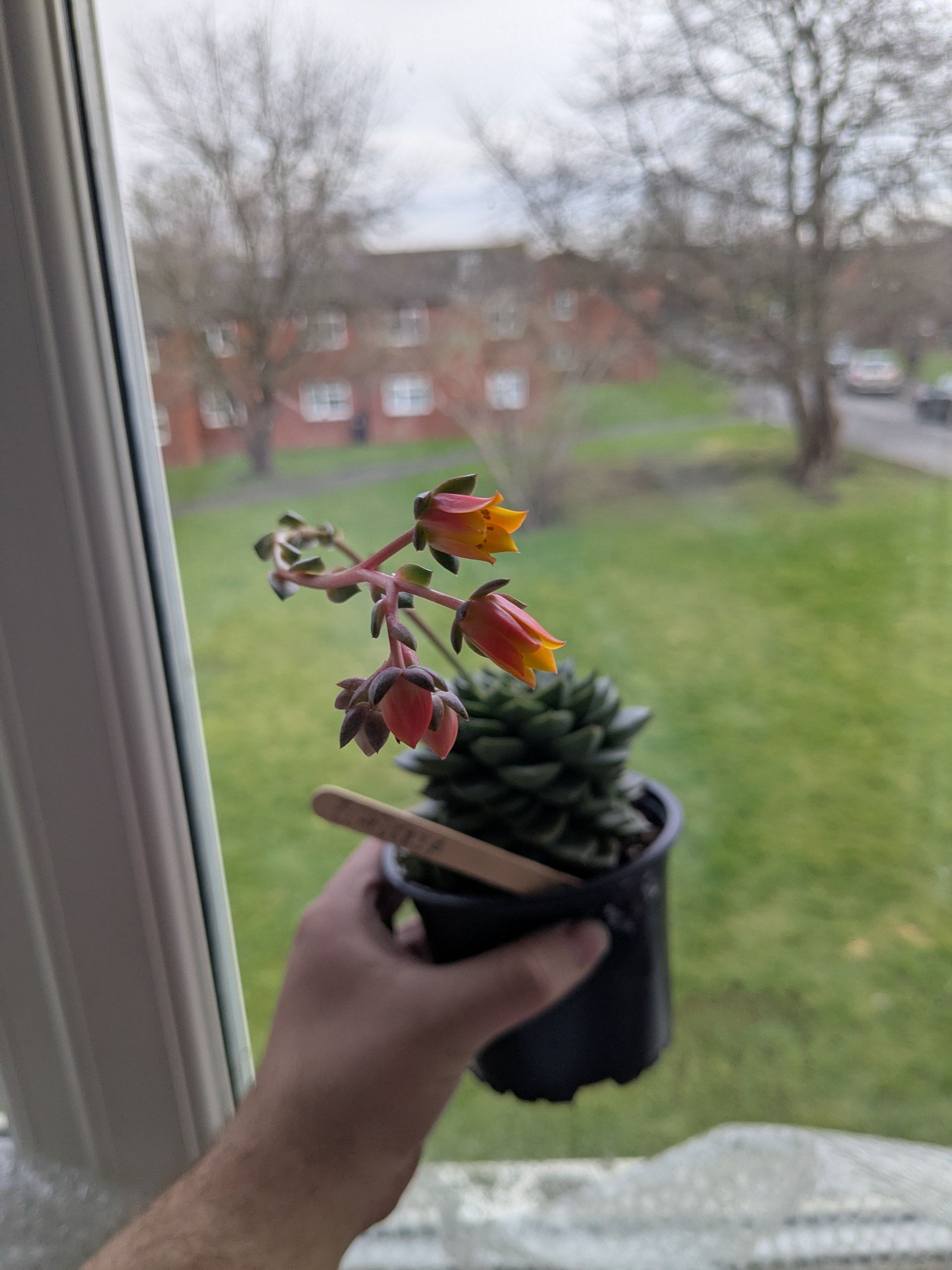 Photo from the post
