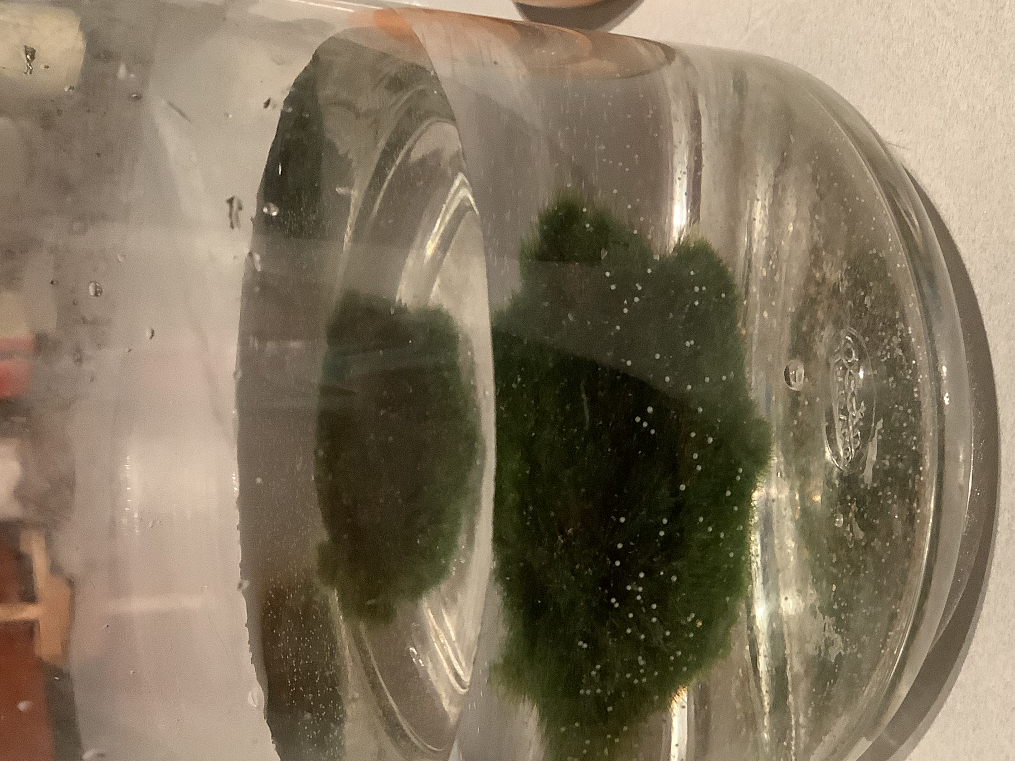 Photo from the post