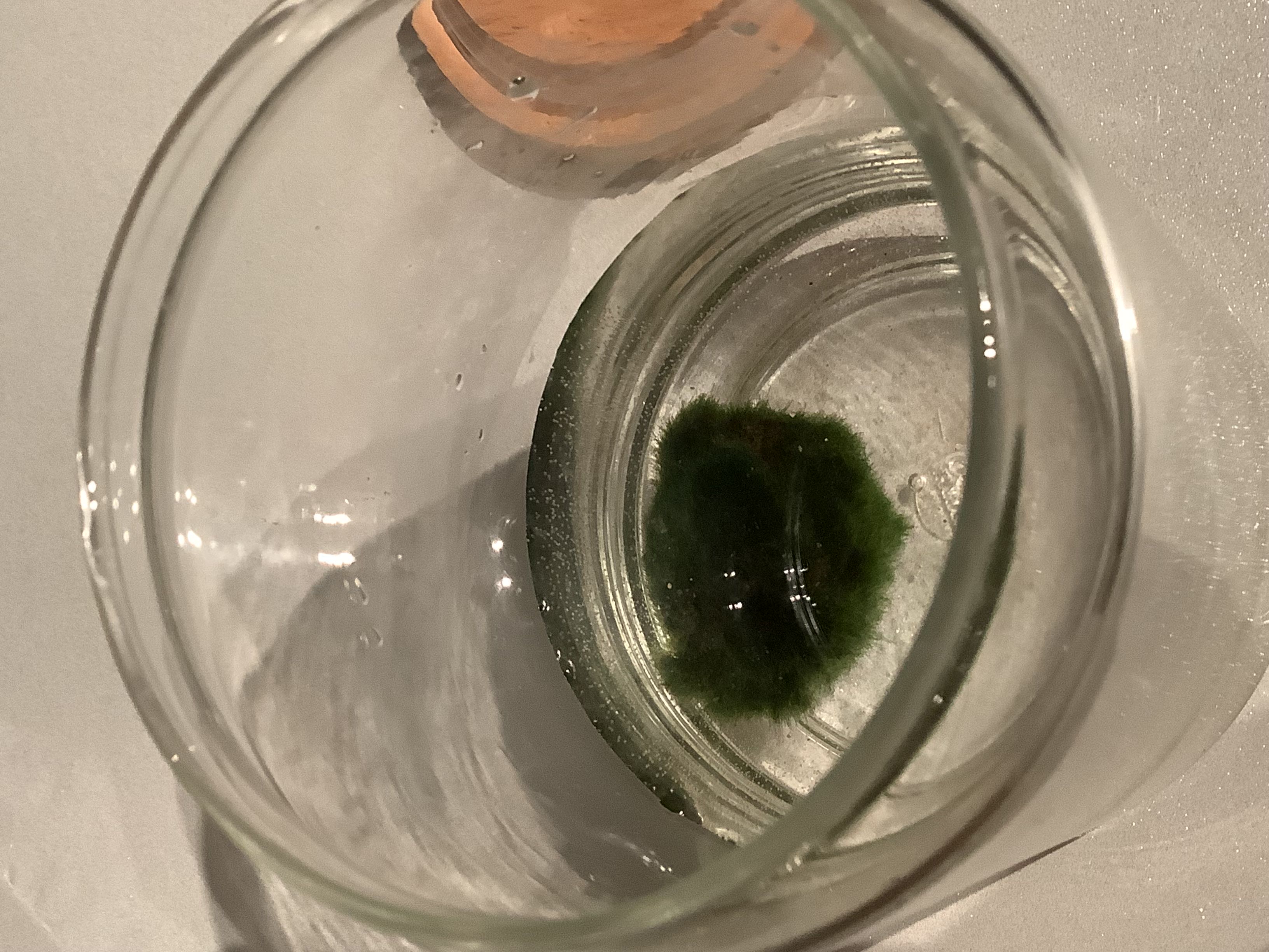 Photo from the post