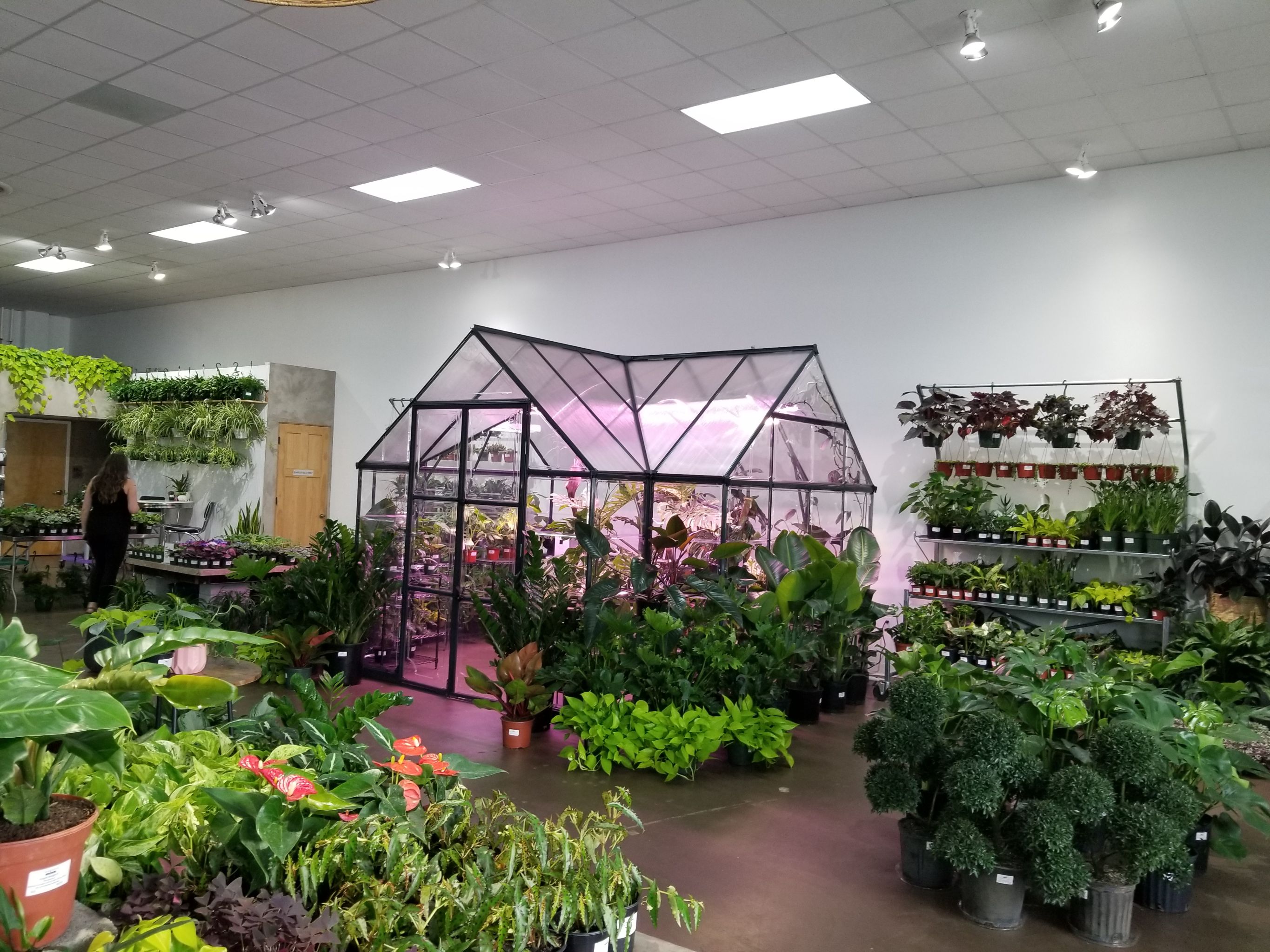 My city has a plant bar! It's basically a store for plan...