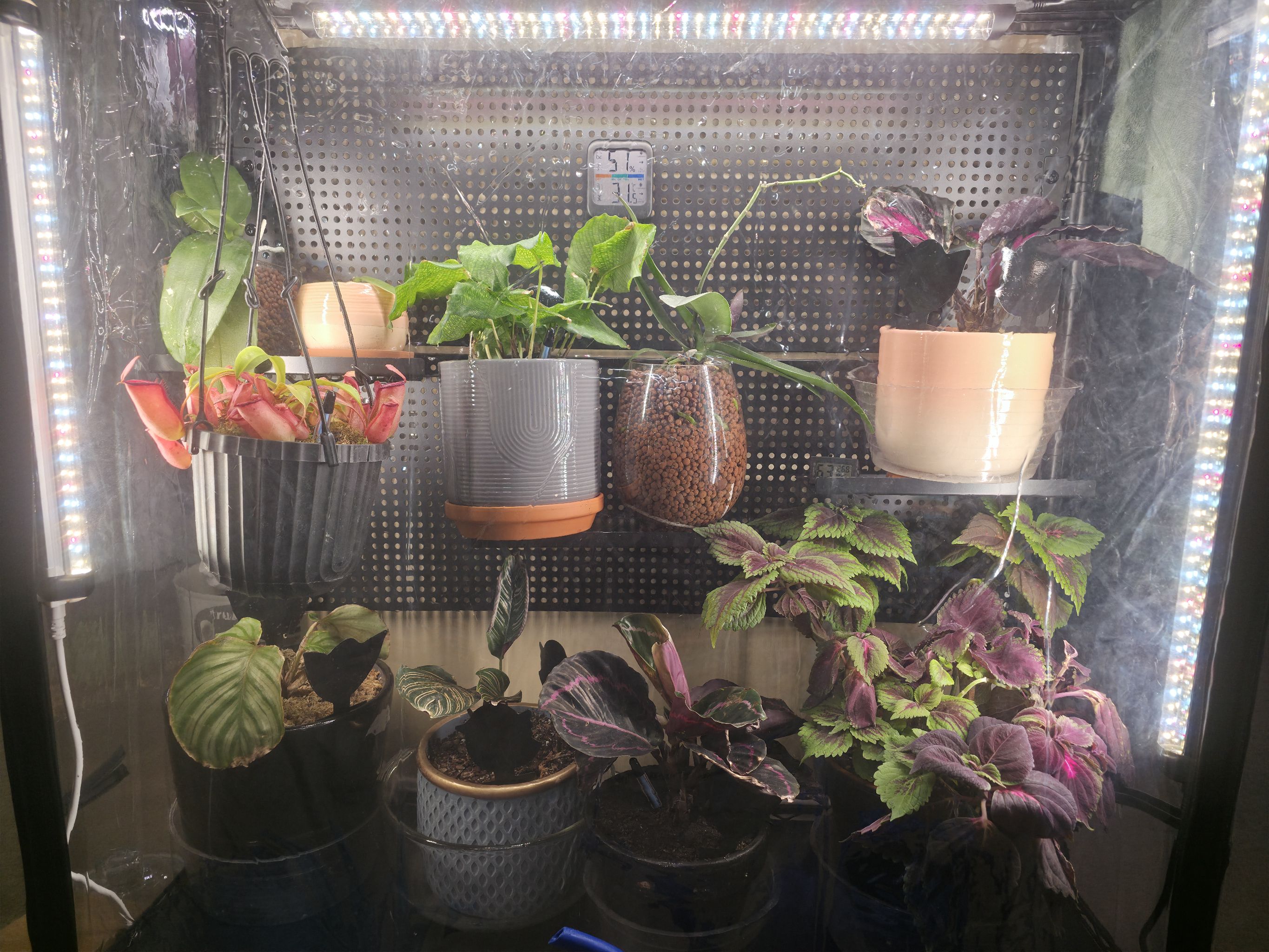 Photo from the post