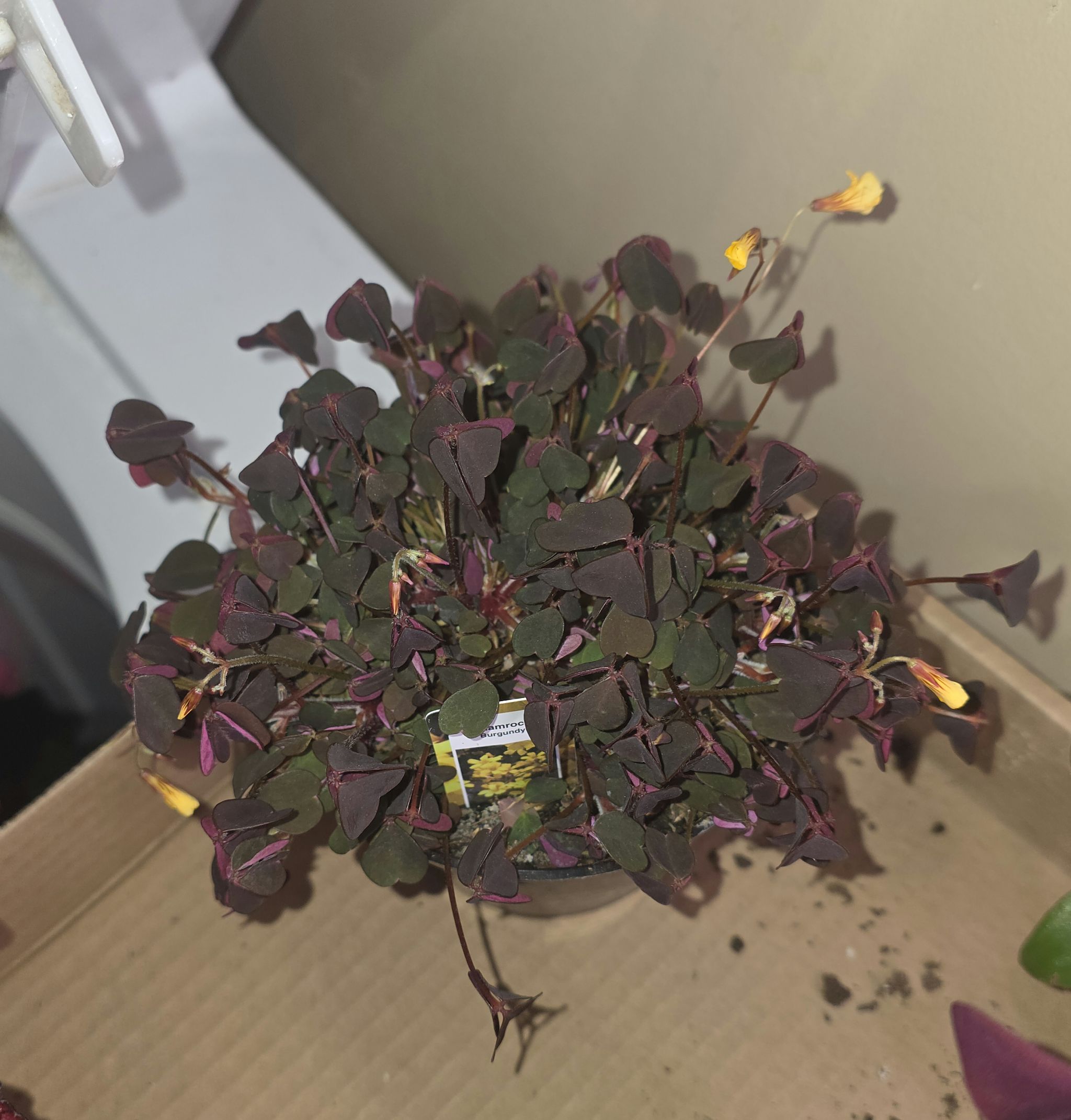 Photo from the post