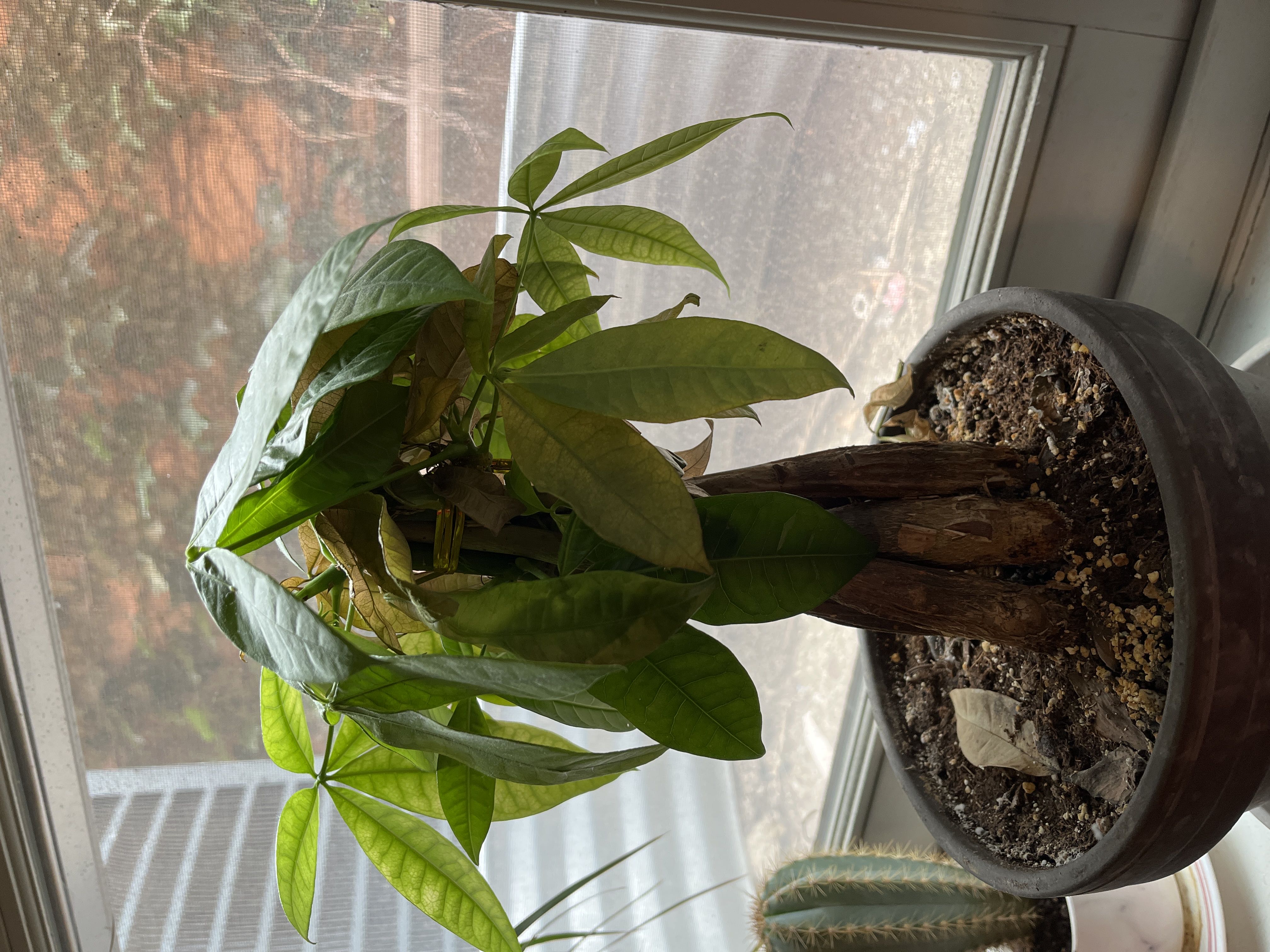 Photo from the post