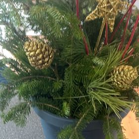 Christmas Faithe