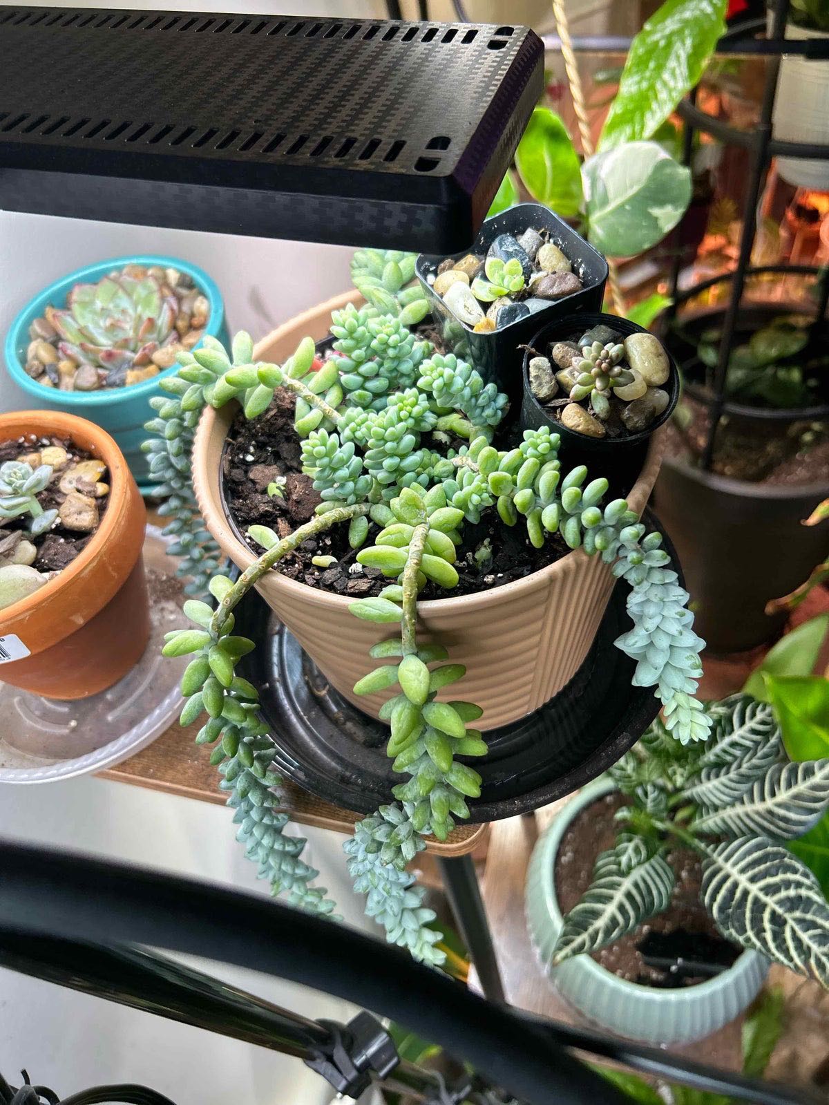 Photo from the post