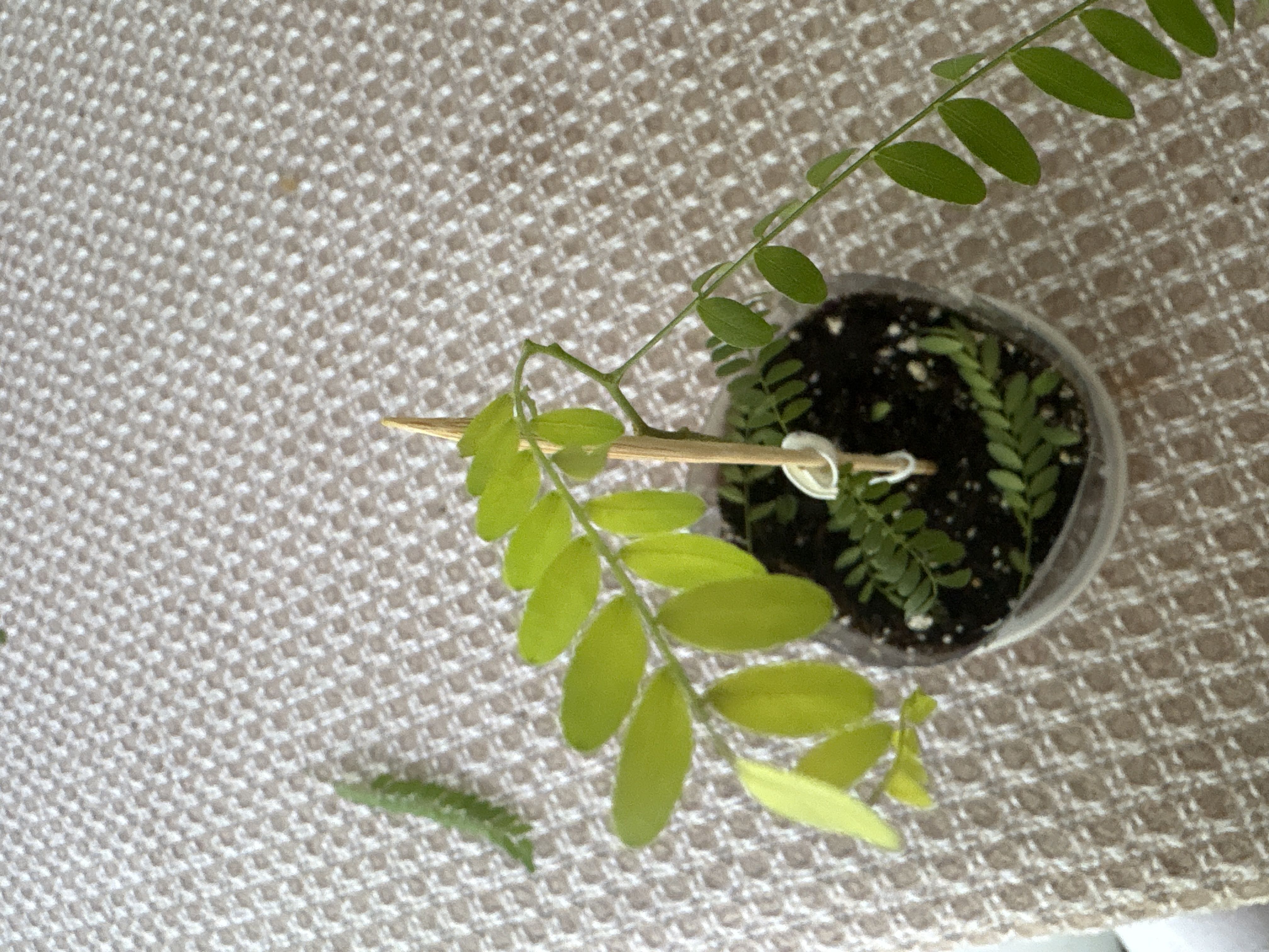 Photo from the post