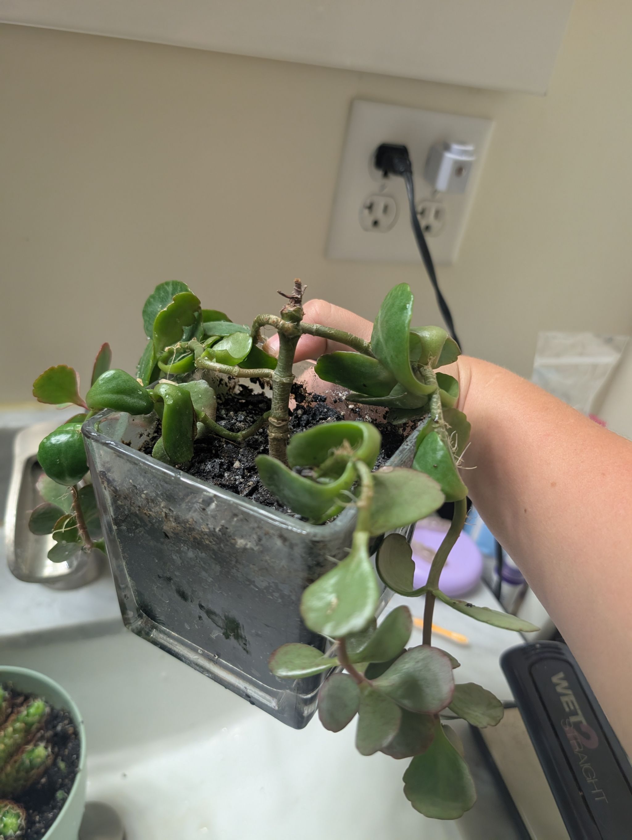 Photo from the post