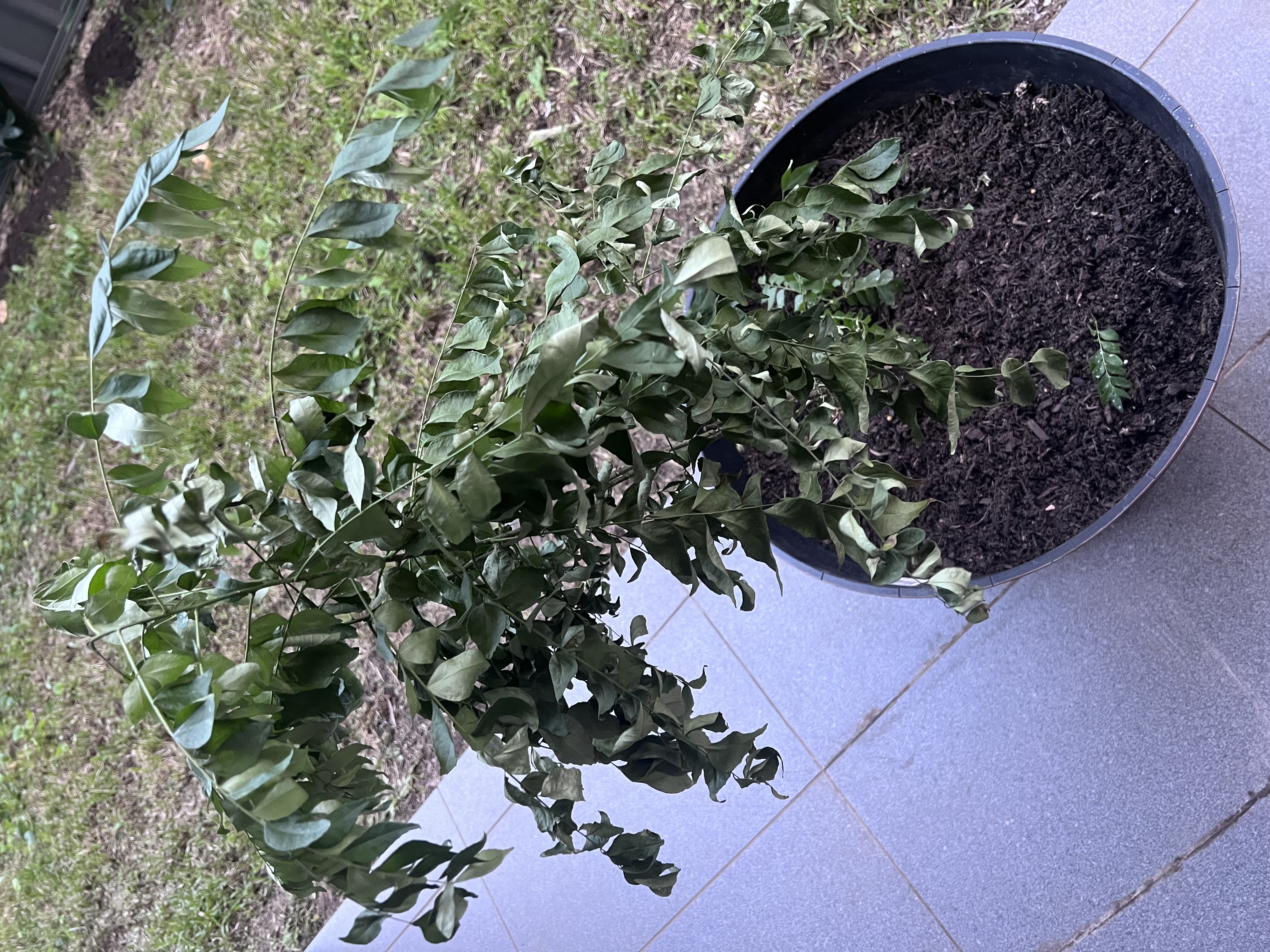 Photo from the post